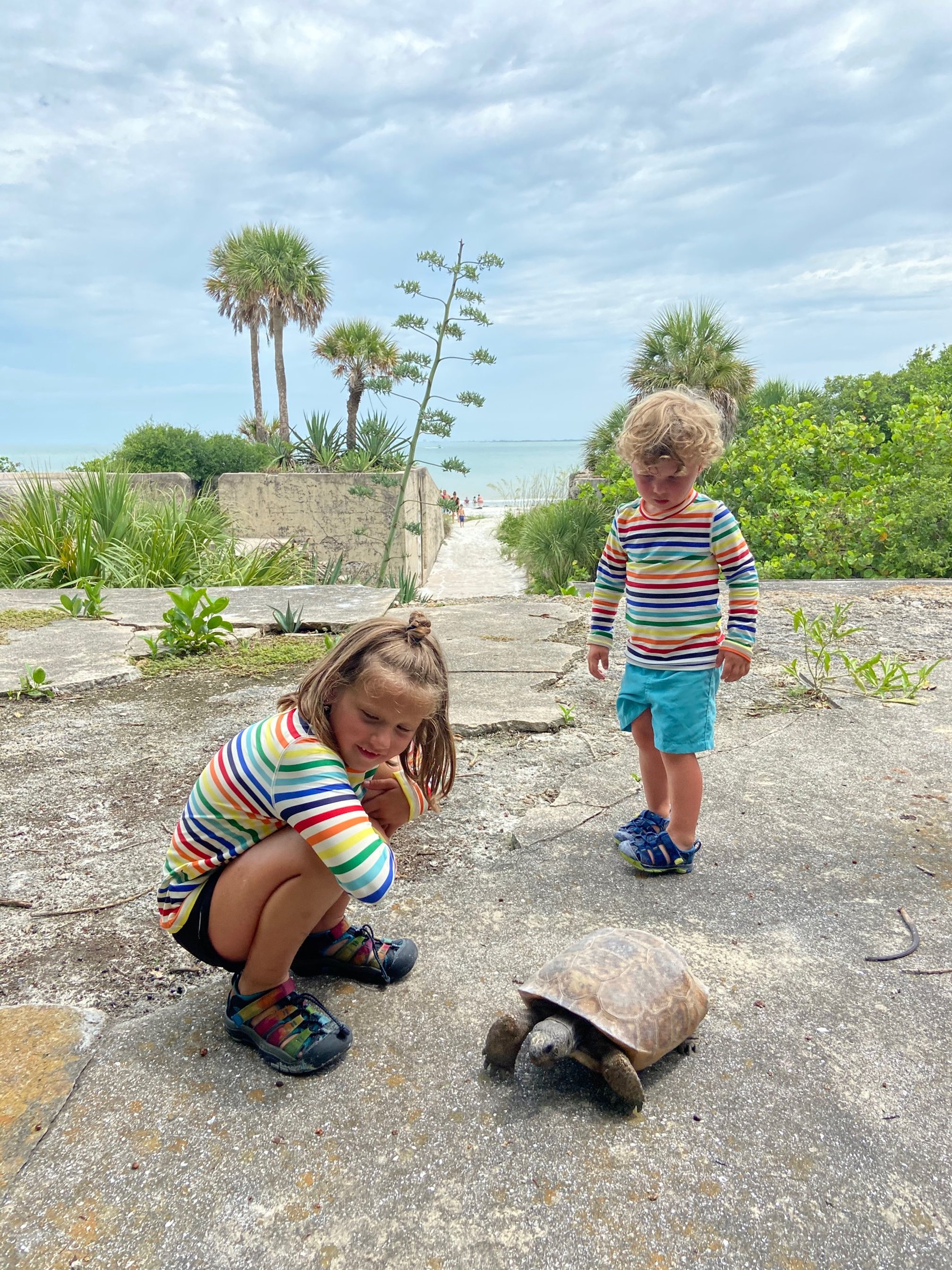 The author's children are in striped shirts looking at a tortoise and are wearing sandy children's hiking sandals