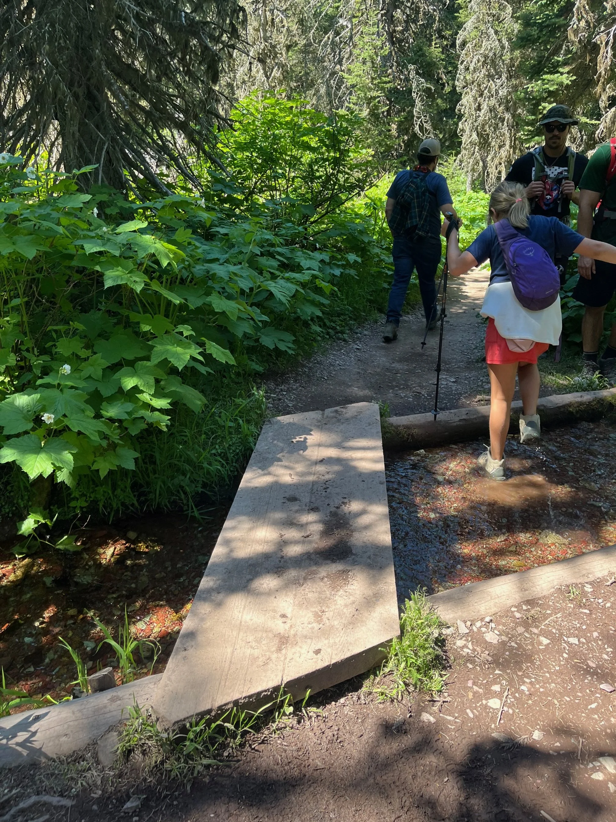 The author's daughter splashes in water despite a wooden stream crossing next to her