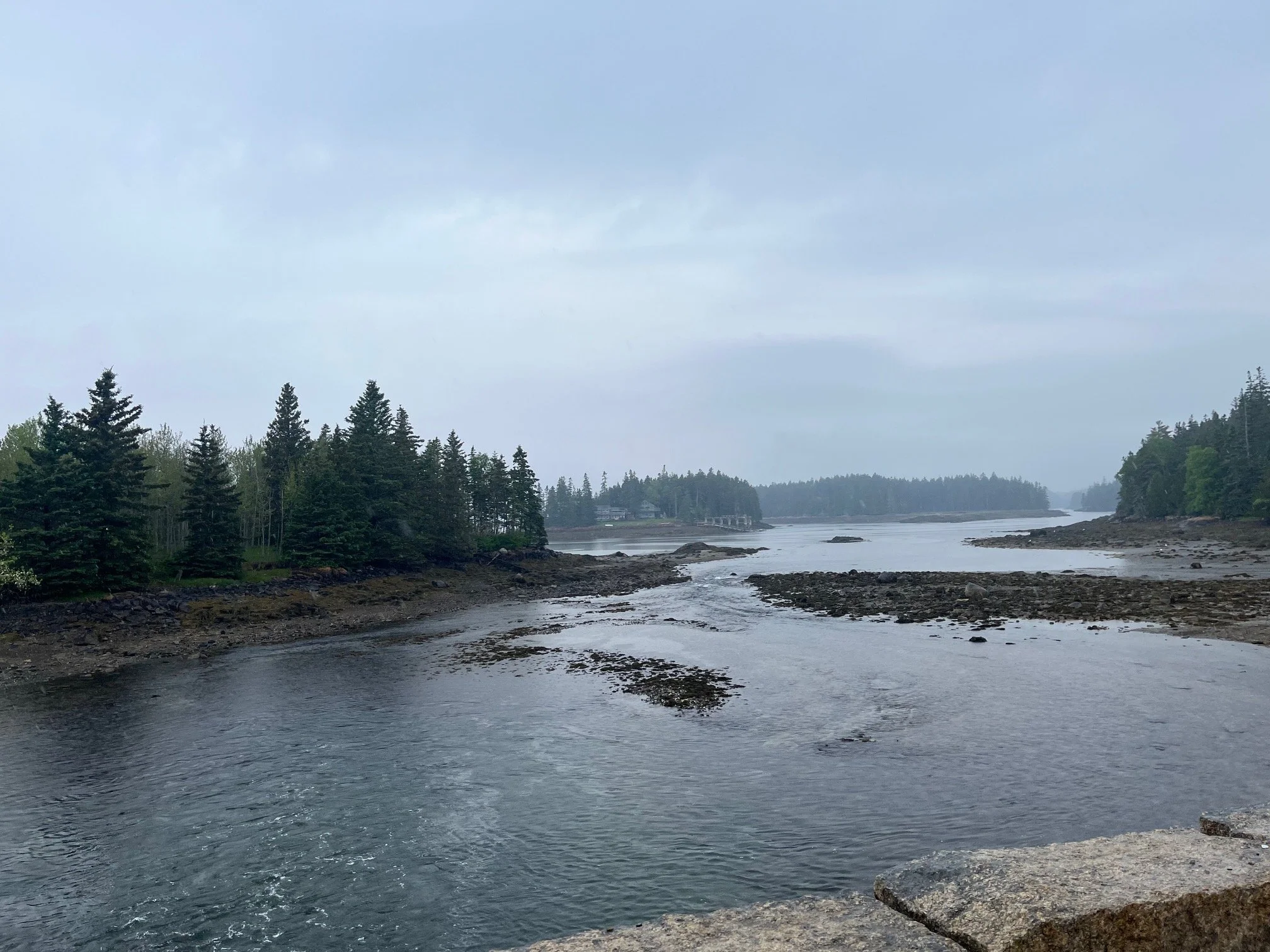The tide coming in near a bridge on the Schoodic Peninsula