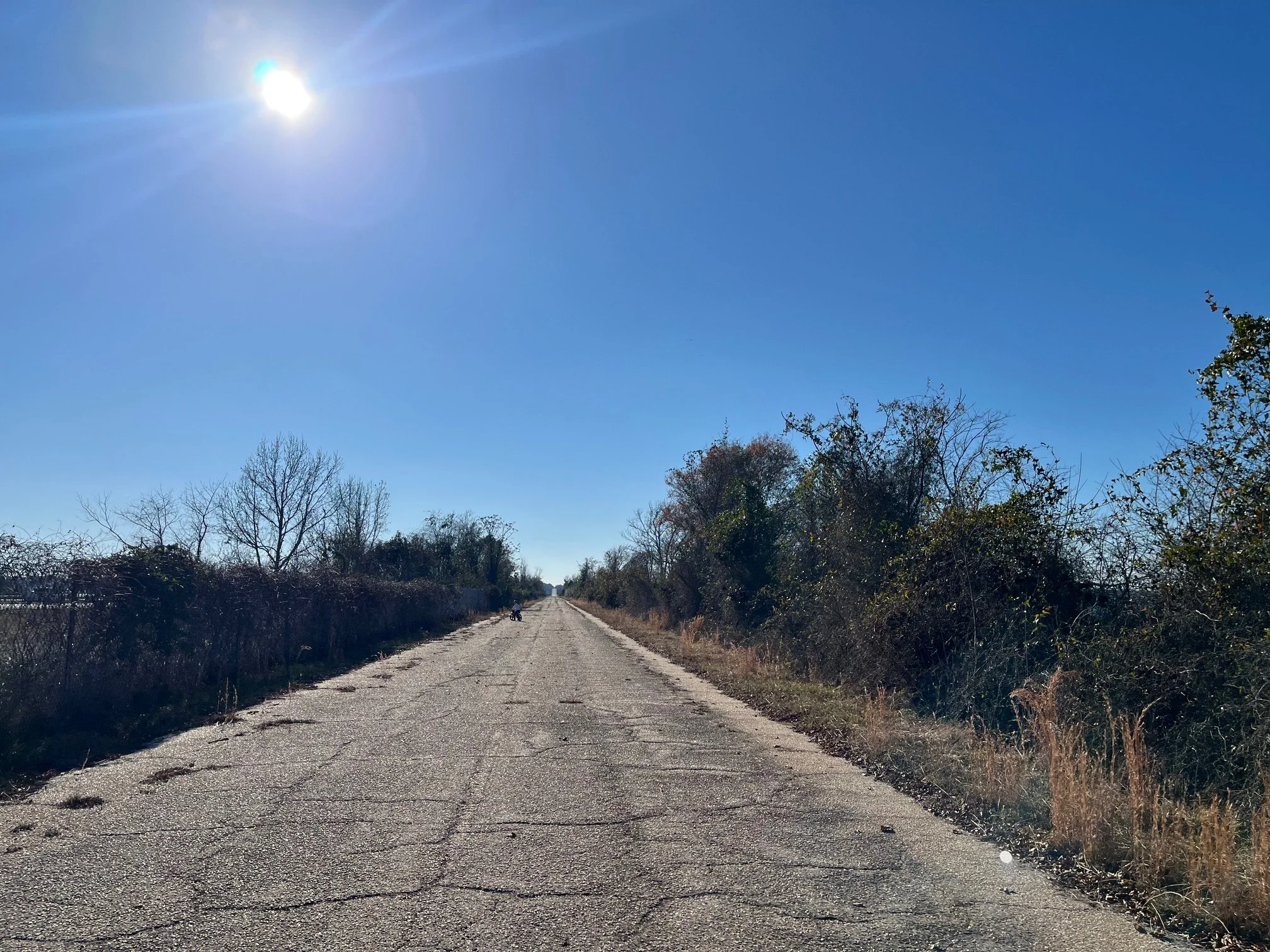 The paved trail with bushes on either side at the northern end