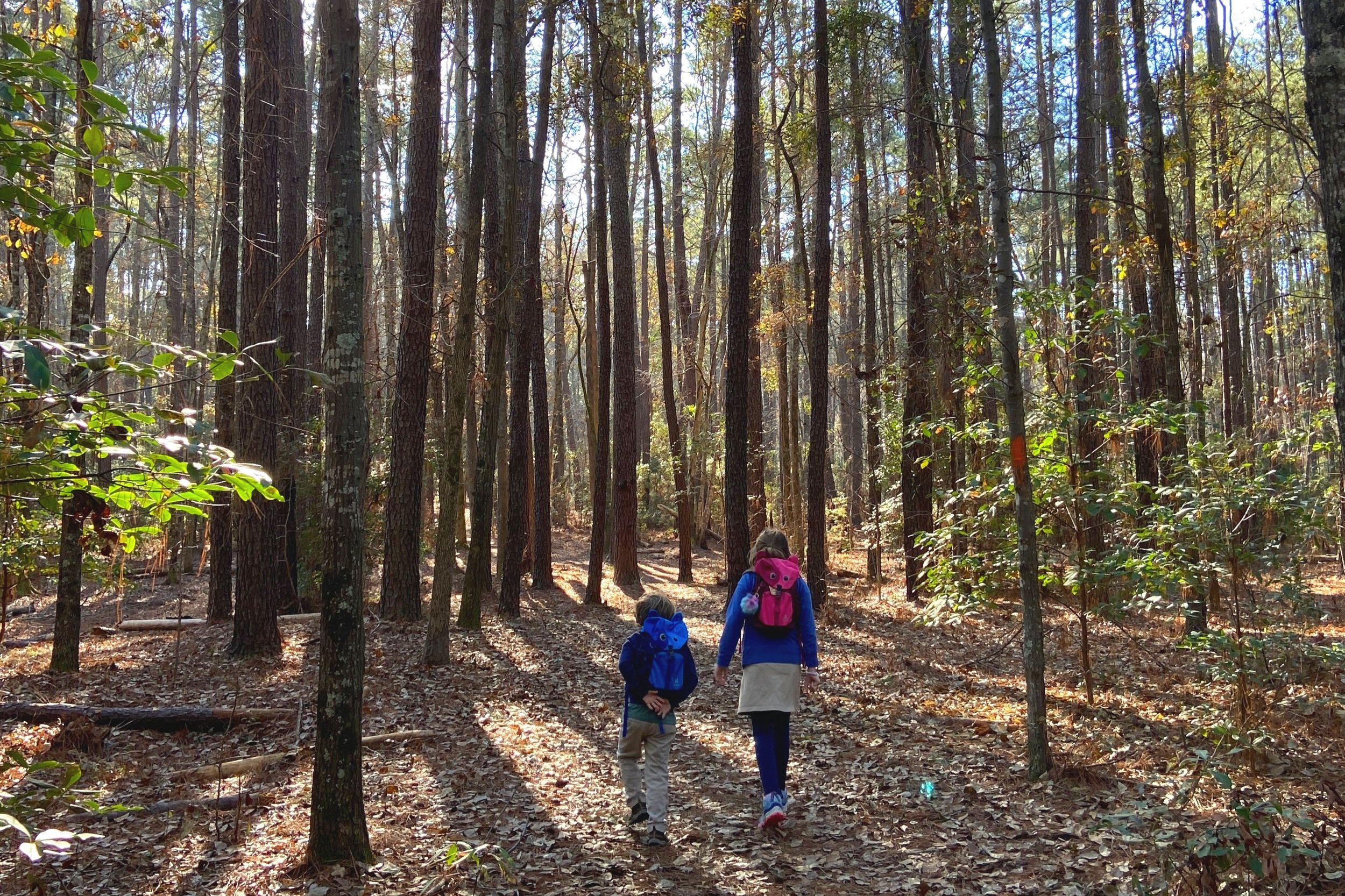 Best camping gifts for kids sales