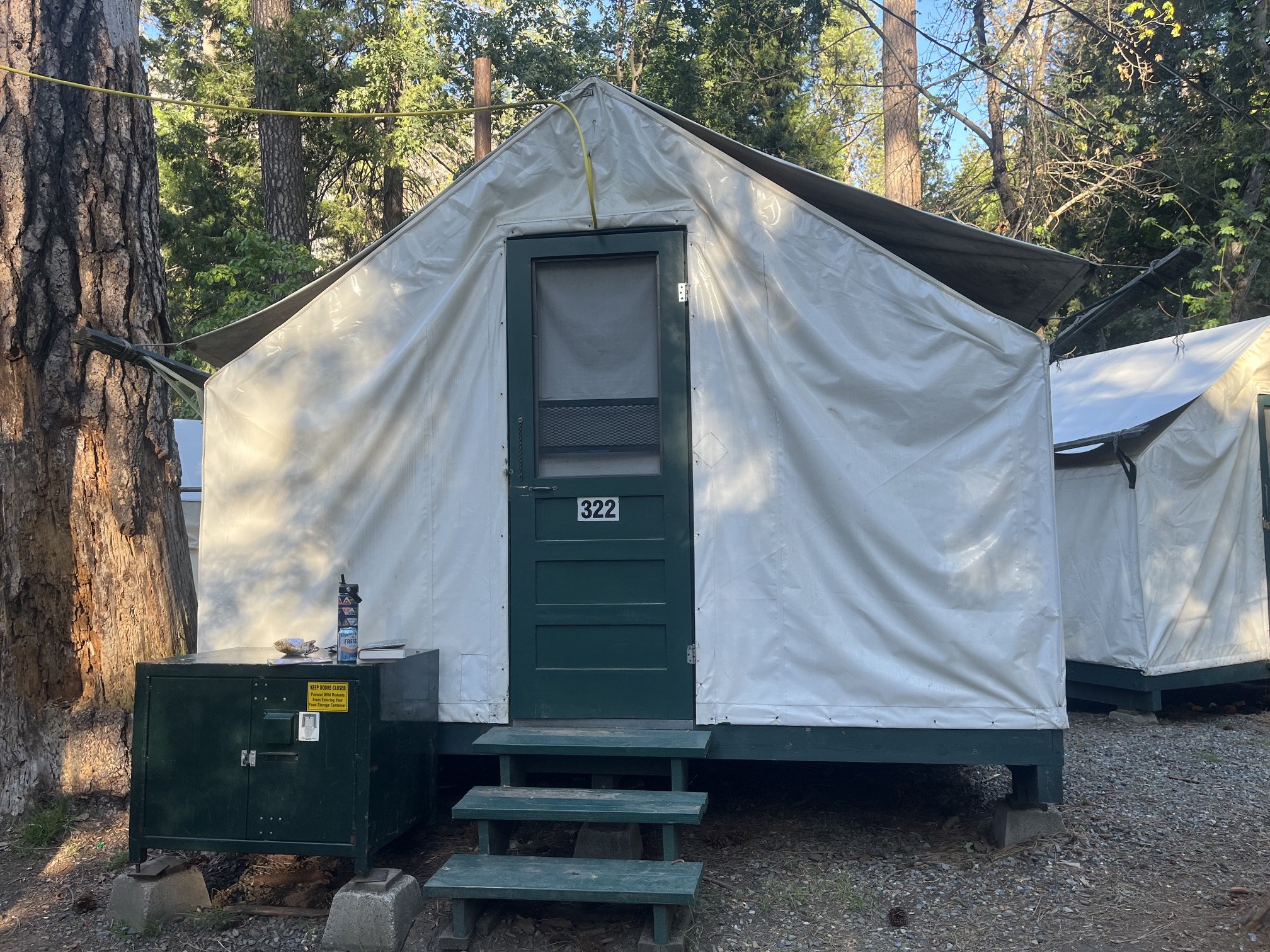 Tent 322 at Camp Curry with bear box out front
