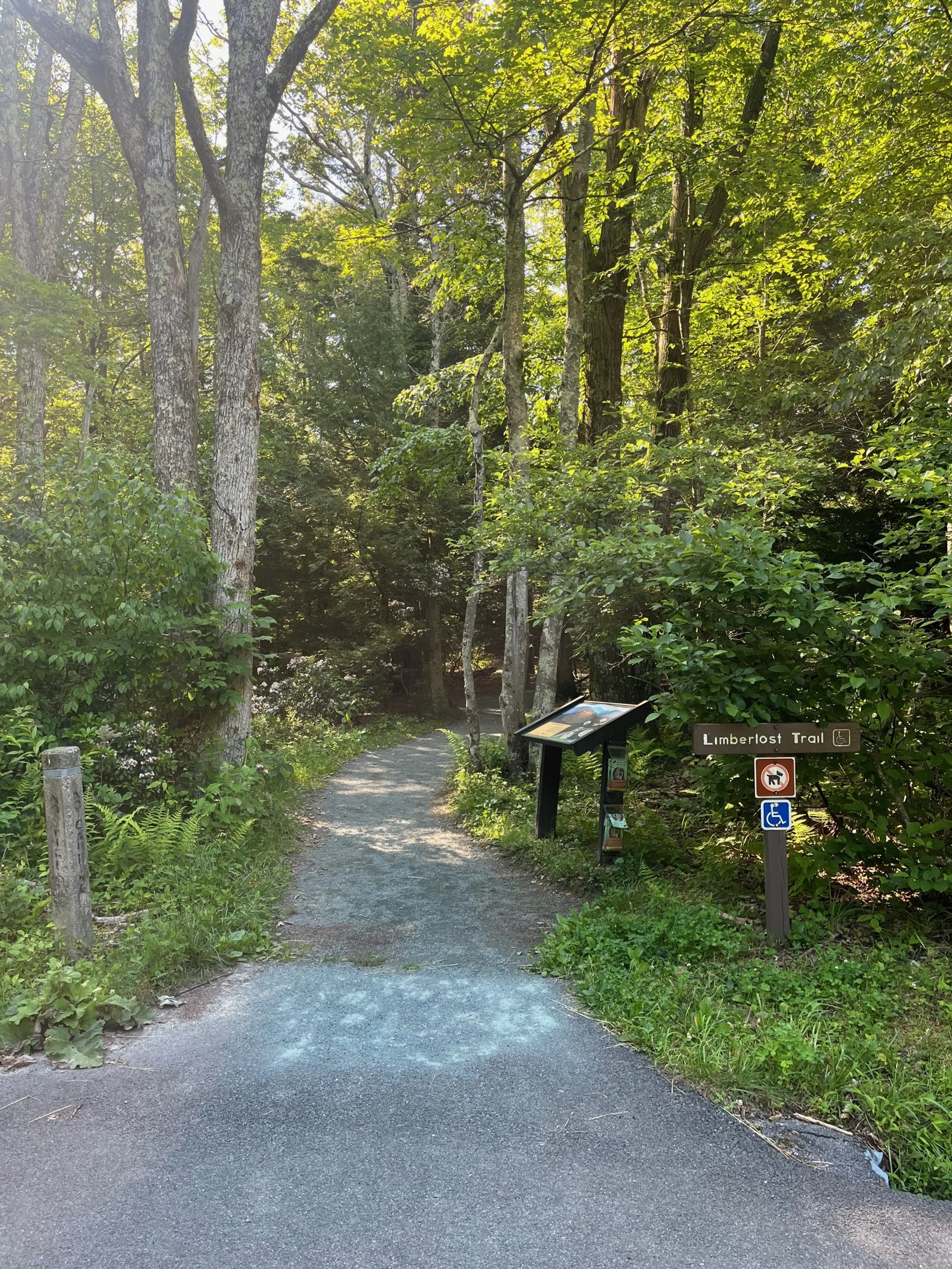 The trailhead for the Limberlost Trail with wooden signpost and Track Trails information board