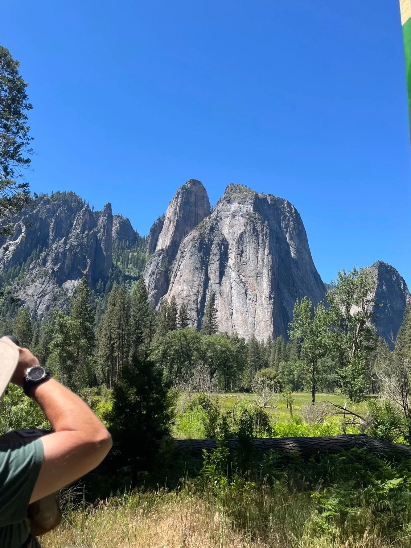 The author's husband uses binoculars to see something across a meadow in Yosemite Valley