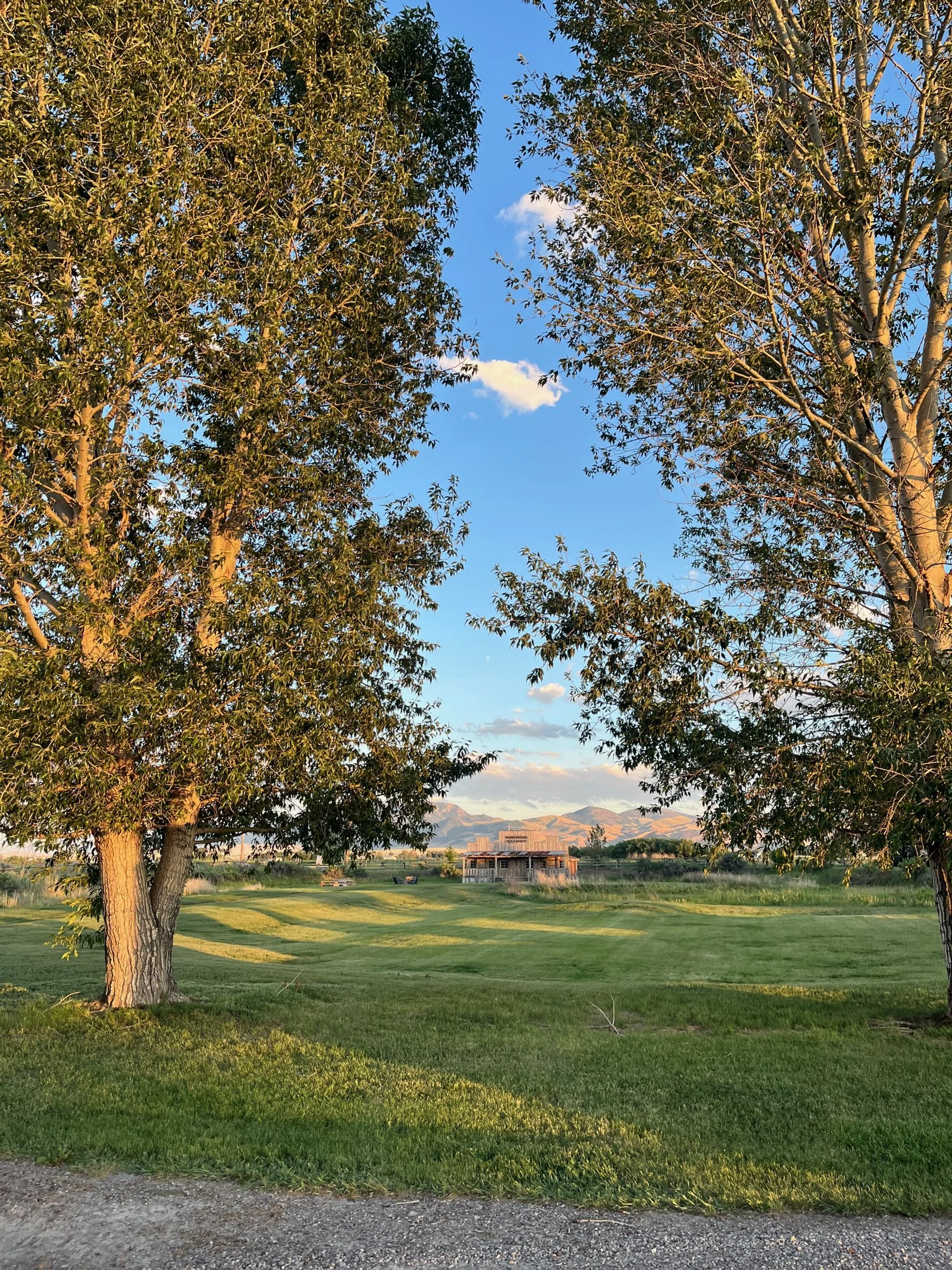 Grassy area under the trees with a wooden building in front of rolling hills