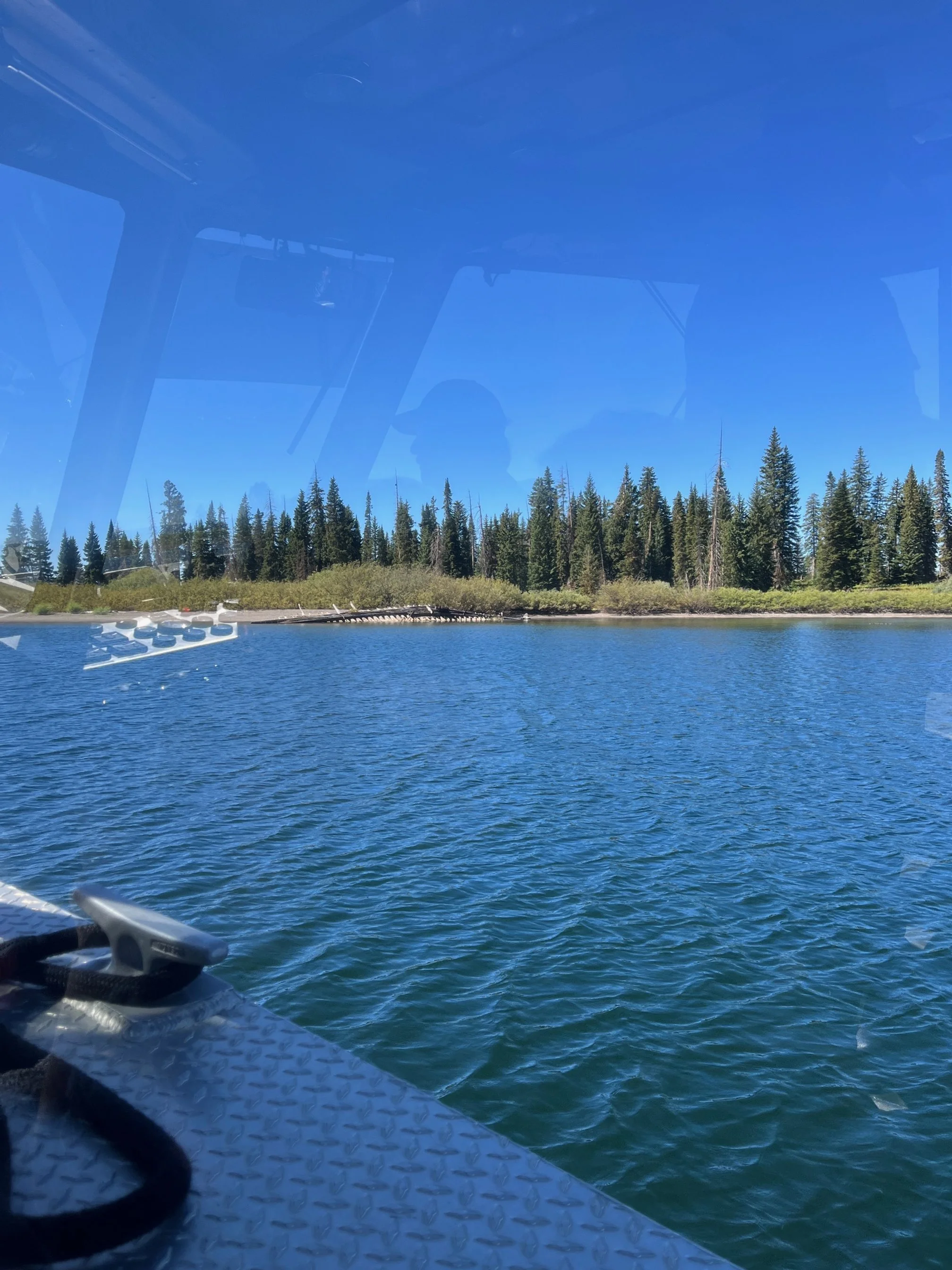 Part of the wreck of the E.C. Waters as seen from the ranger led boat tour of Lake Yellowstone