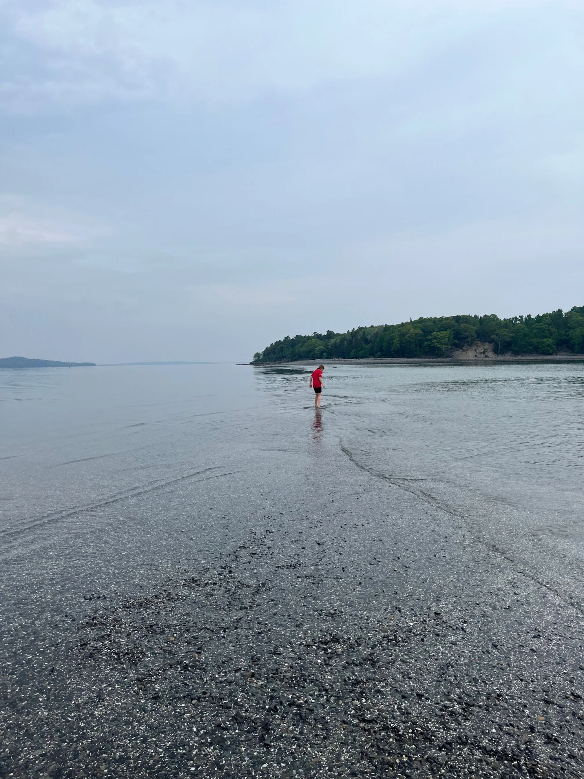 The author's daughter in the water as low tide occurs in Bar Harbor