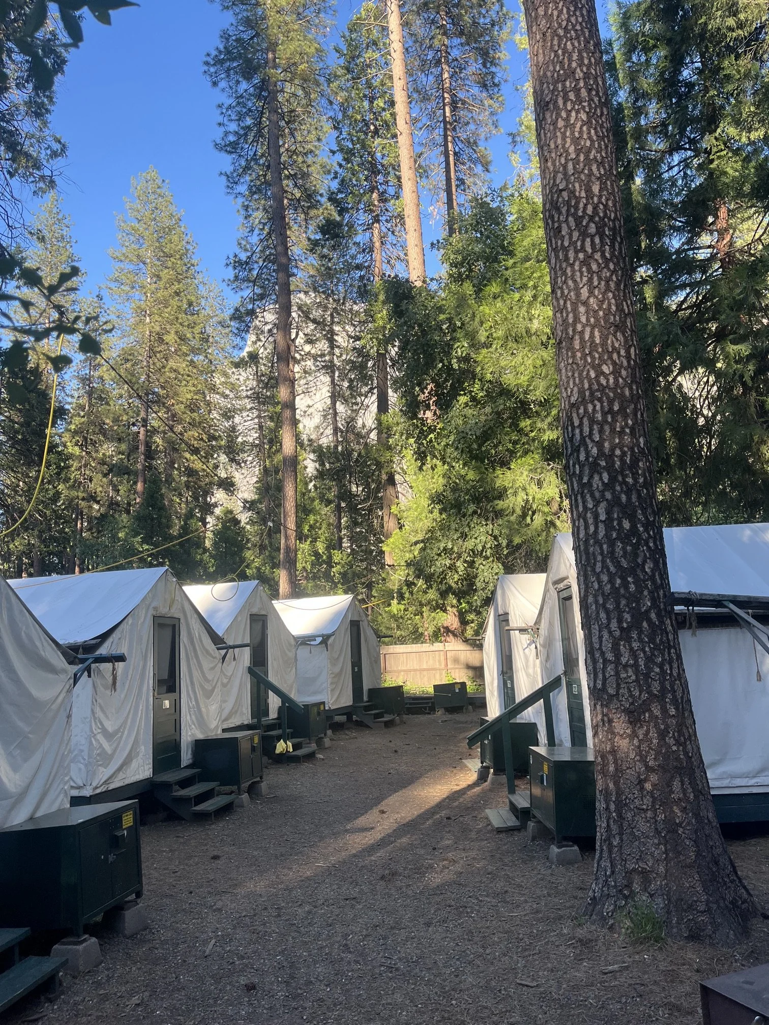 Row of tents in Camp Curry with granite cliff rising in the background