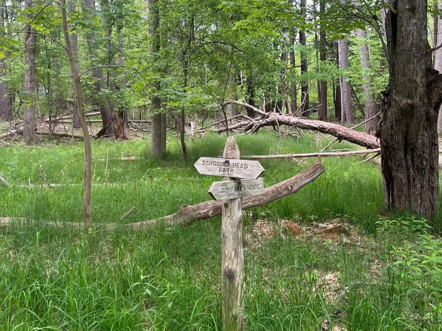 Wooden sign along the Compass Harbor trail