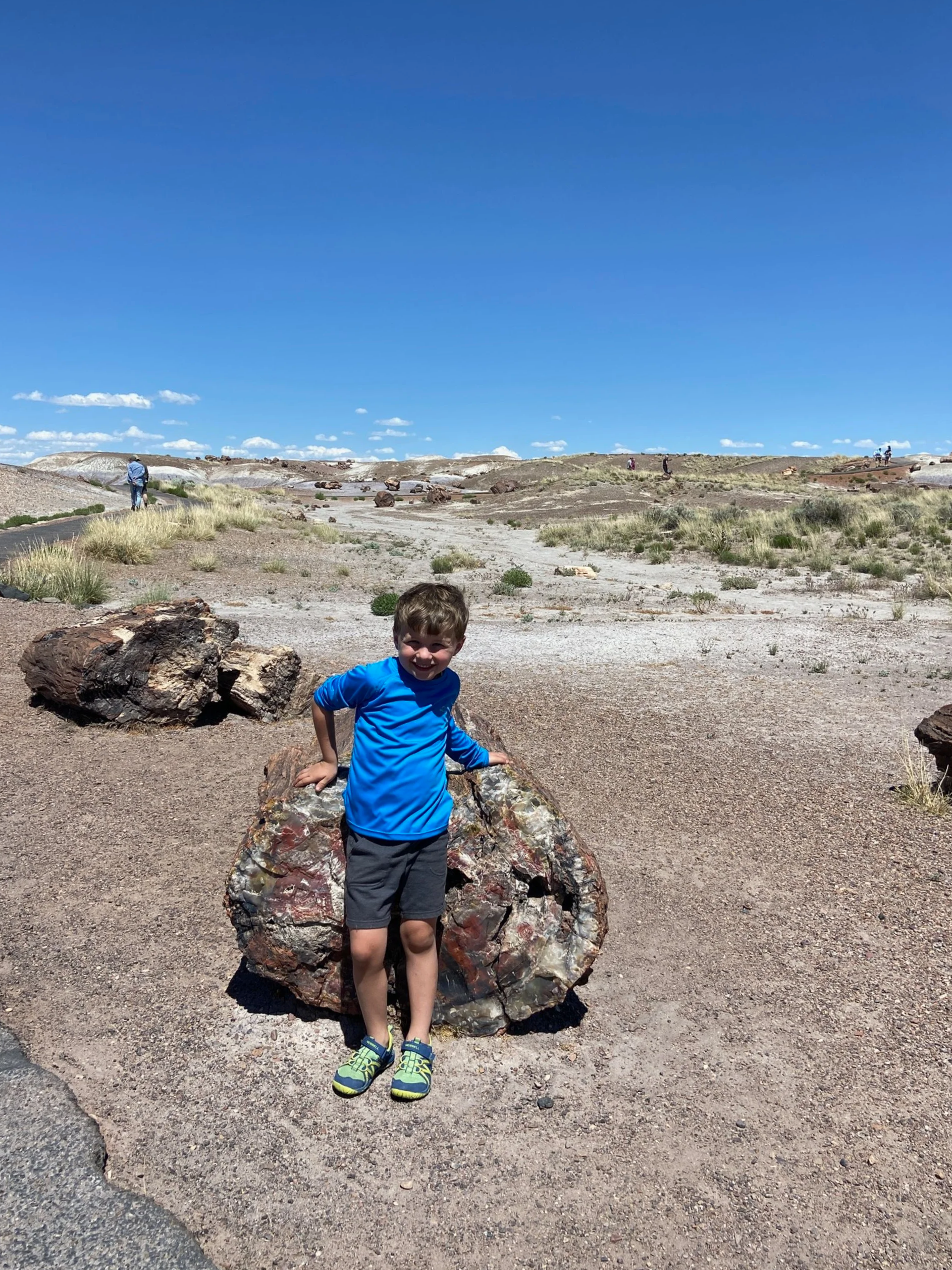 The author's son stands in front of a large piece of petrified tree trunk