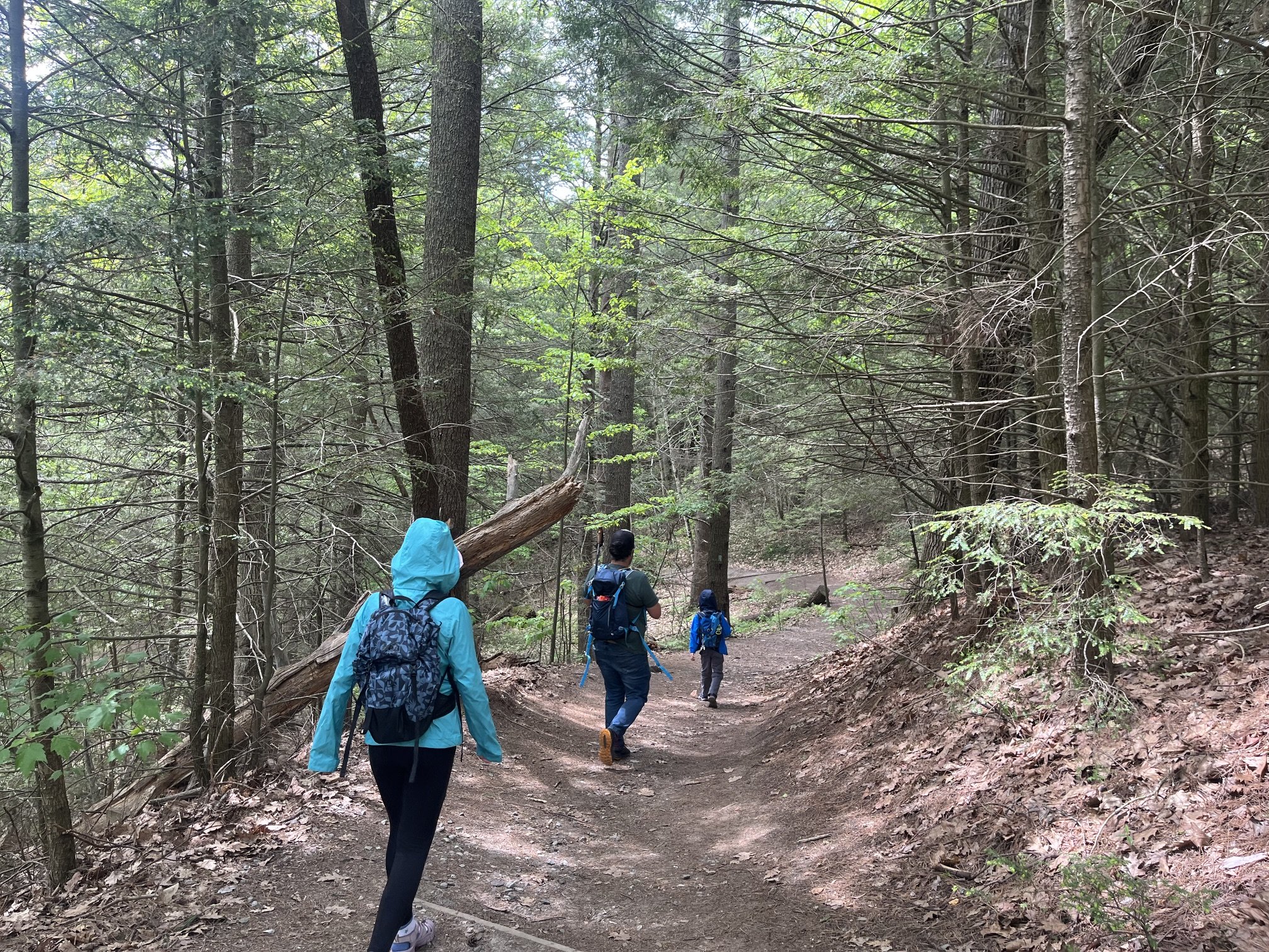The author's children and husband hiking in New England while wearing rain jackets