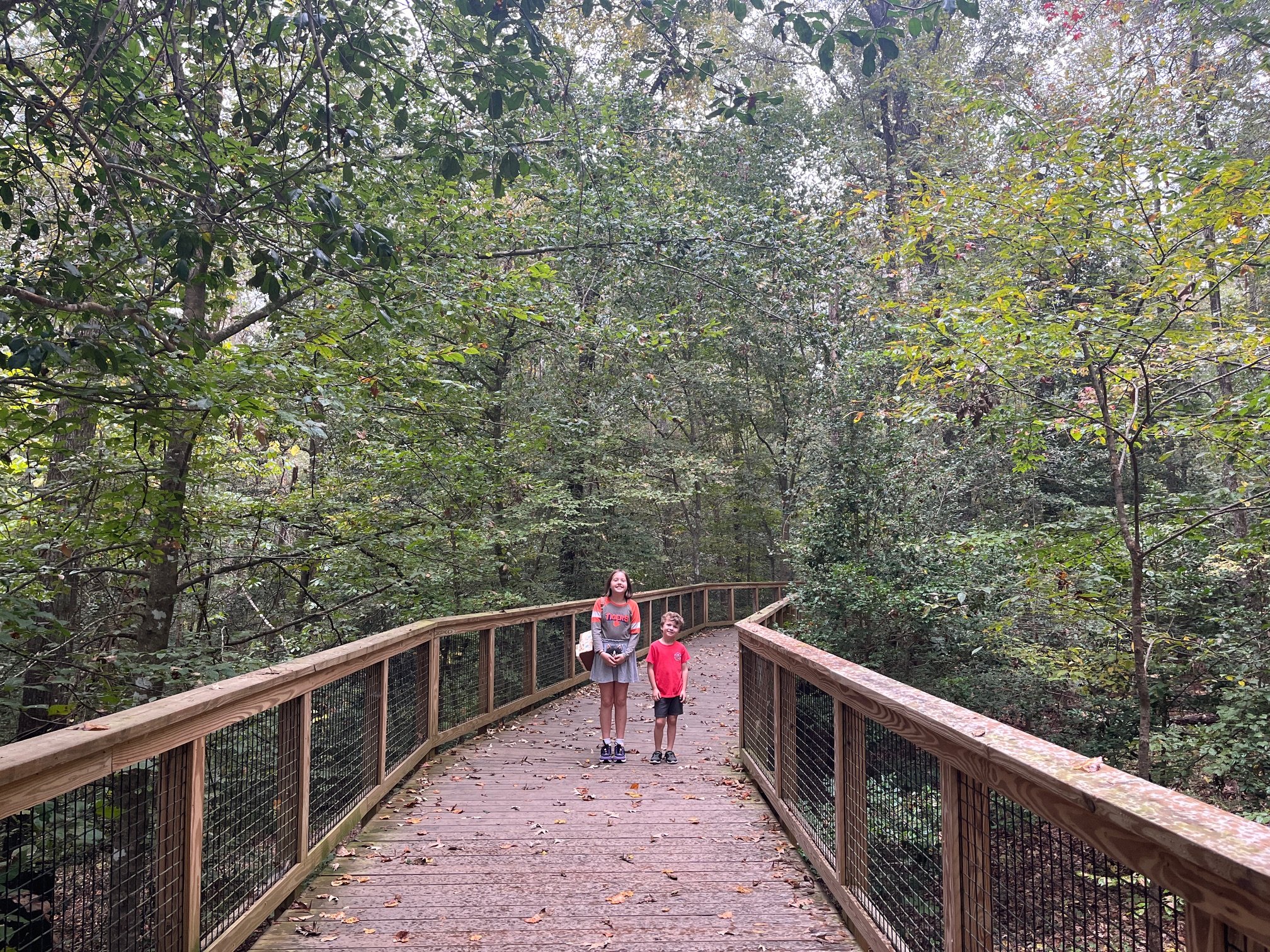 The author's children stand on a raised wooden boardwalk with thick trees on either side