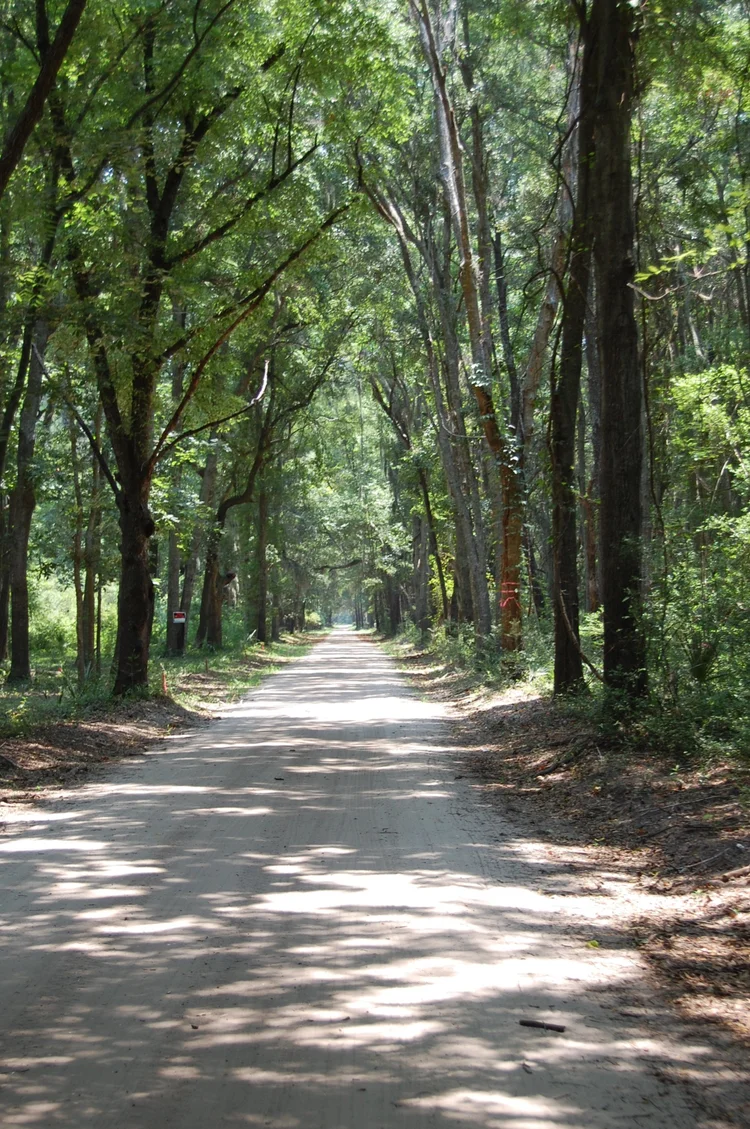 Visiting Daufuskie Island with Kids