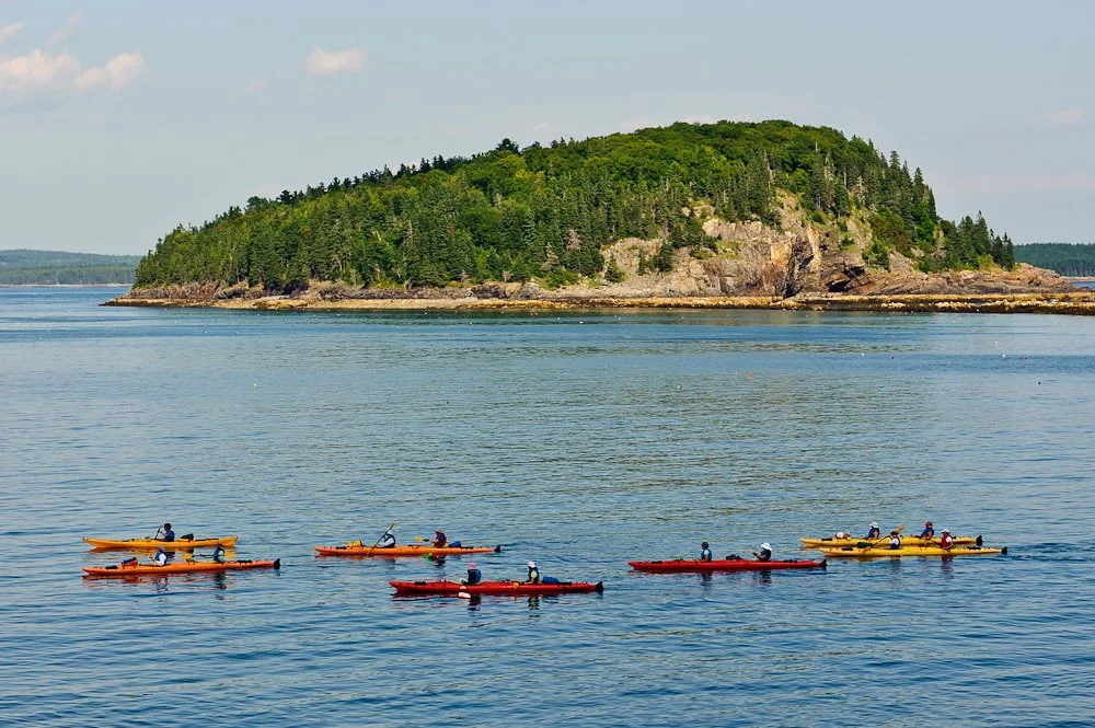 A group of kayakers in Frenchman's Bay near Acadia National Park