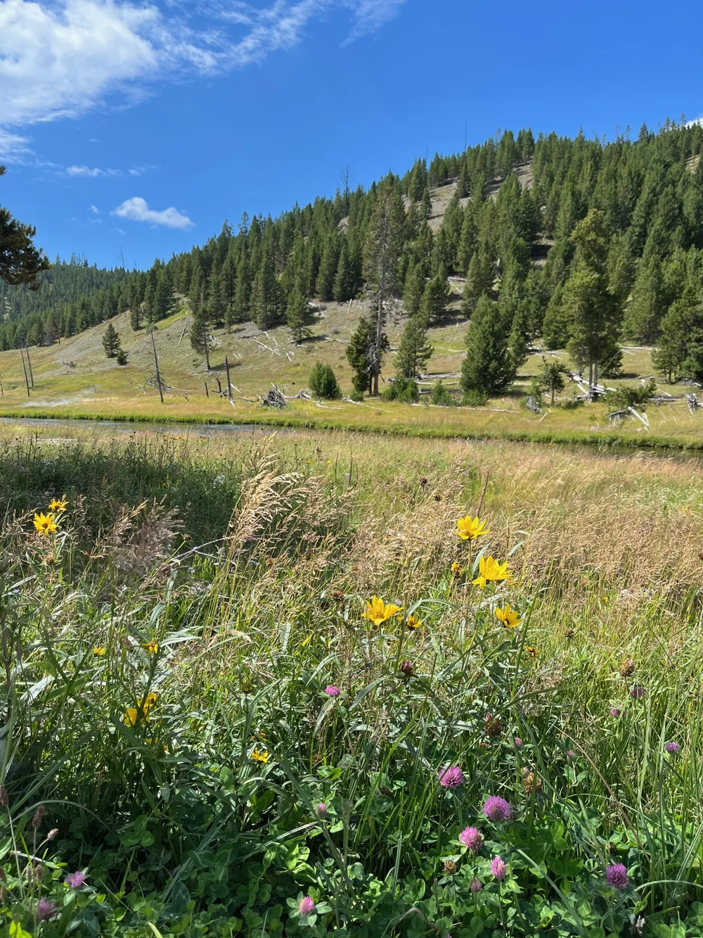 Grand Prismatic Spring Overlook Trail: A Guide