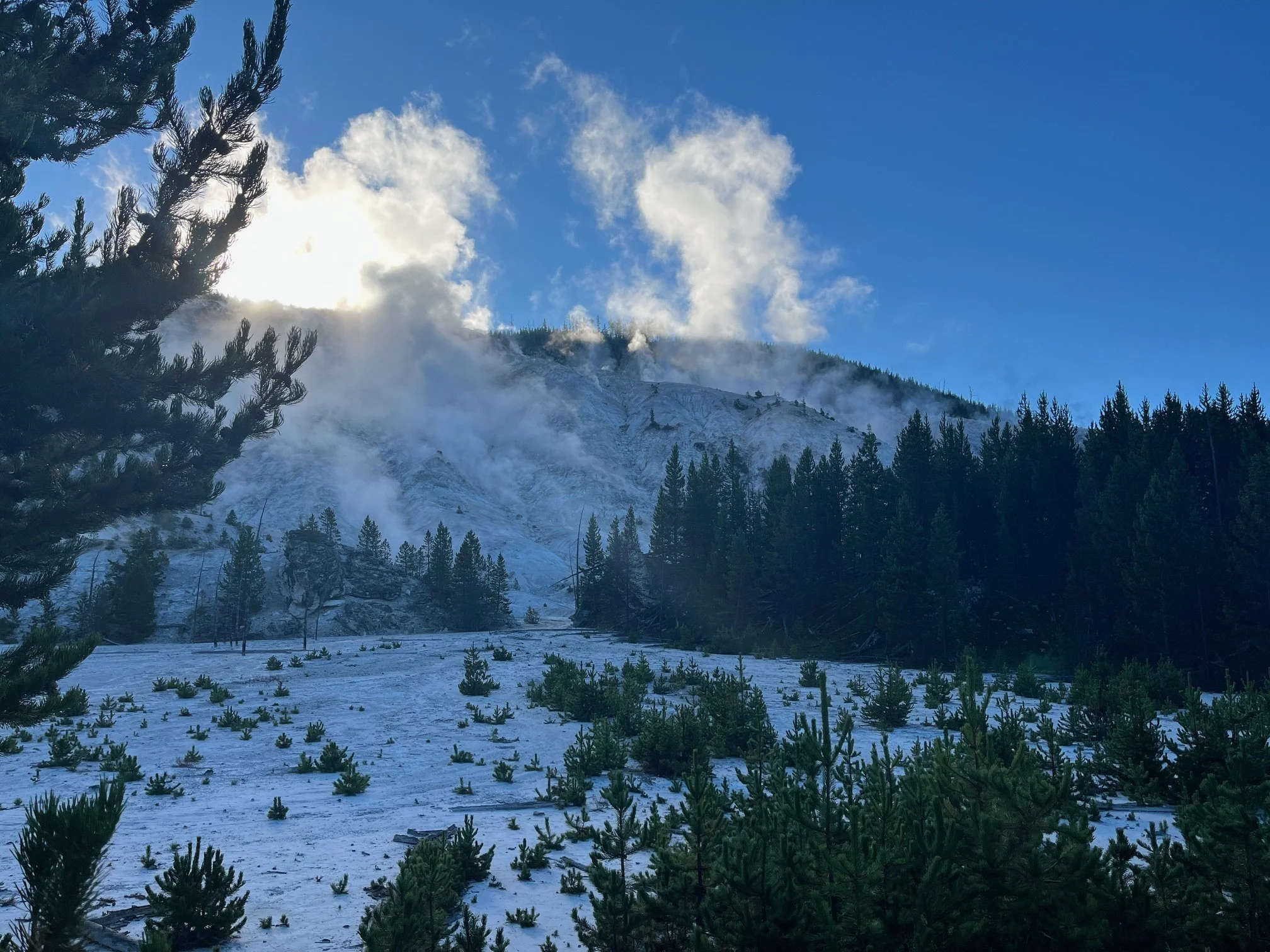 Steam rises from the side of Roaring Mountain in Yellowstone