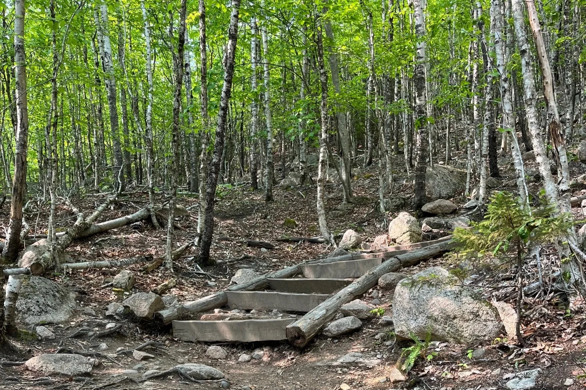 Rocky path and wooden staircases on the way to South Bubble