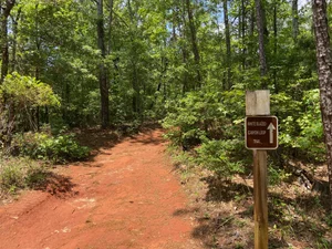 A Complete Guide to Hiking in Providence Canyon State Park