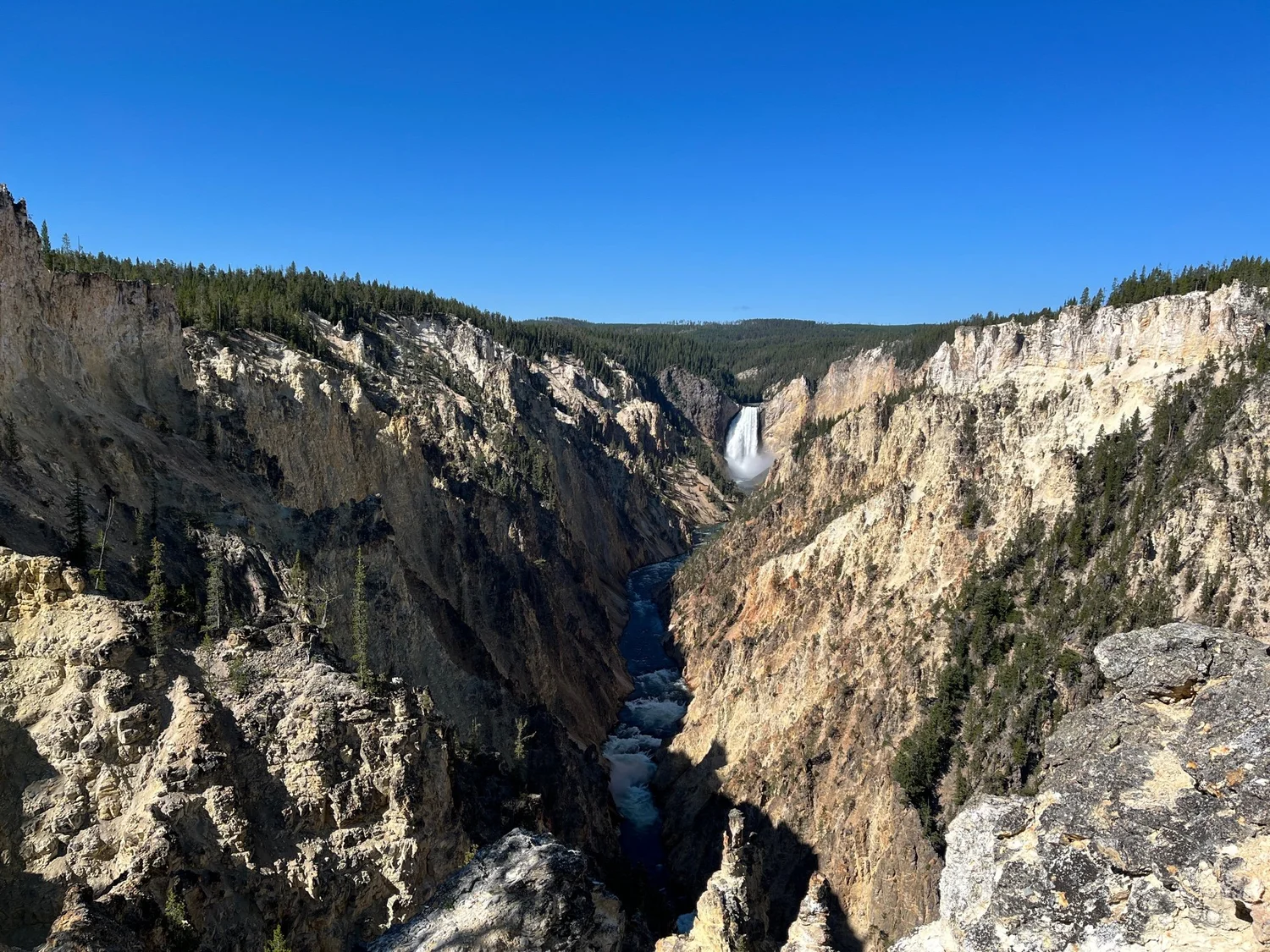 2 Days in Yellowstone: What to Do, See, and Eat