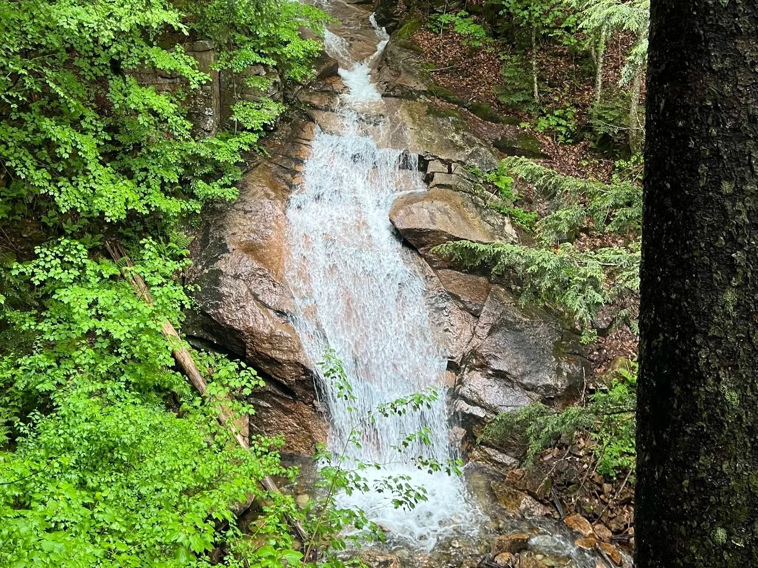The Liberty Falls cascade with lush green foliage on either side