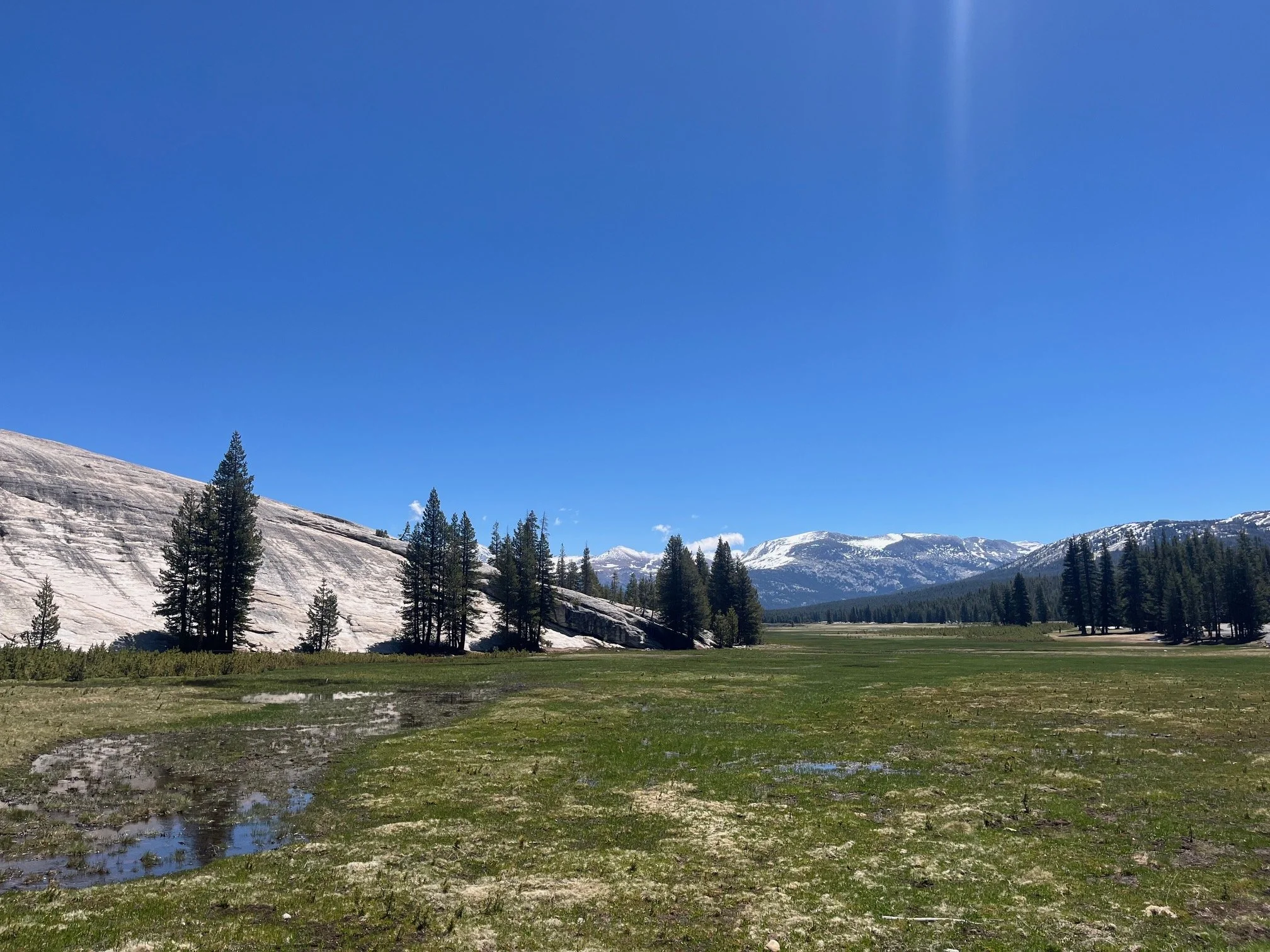 Pothole Dome and Tuolumne Meadows along Tioga Road