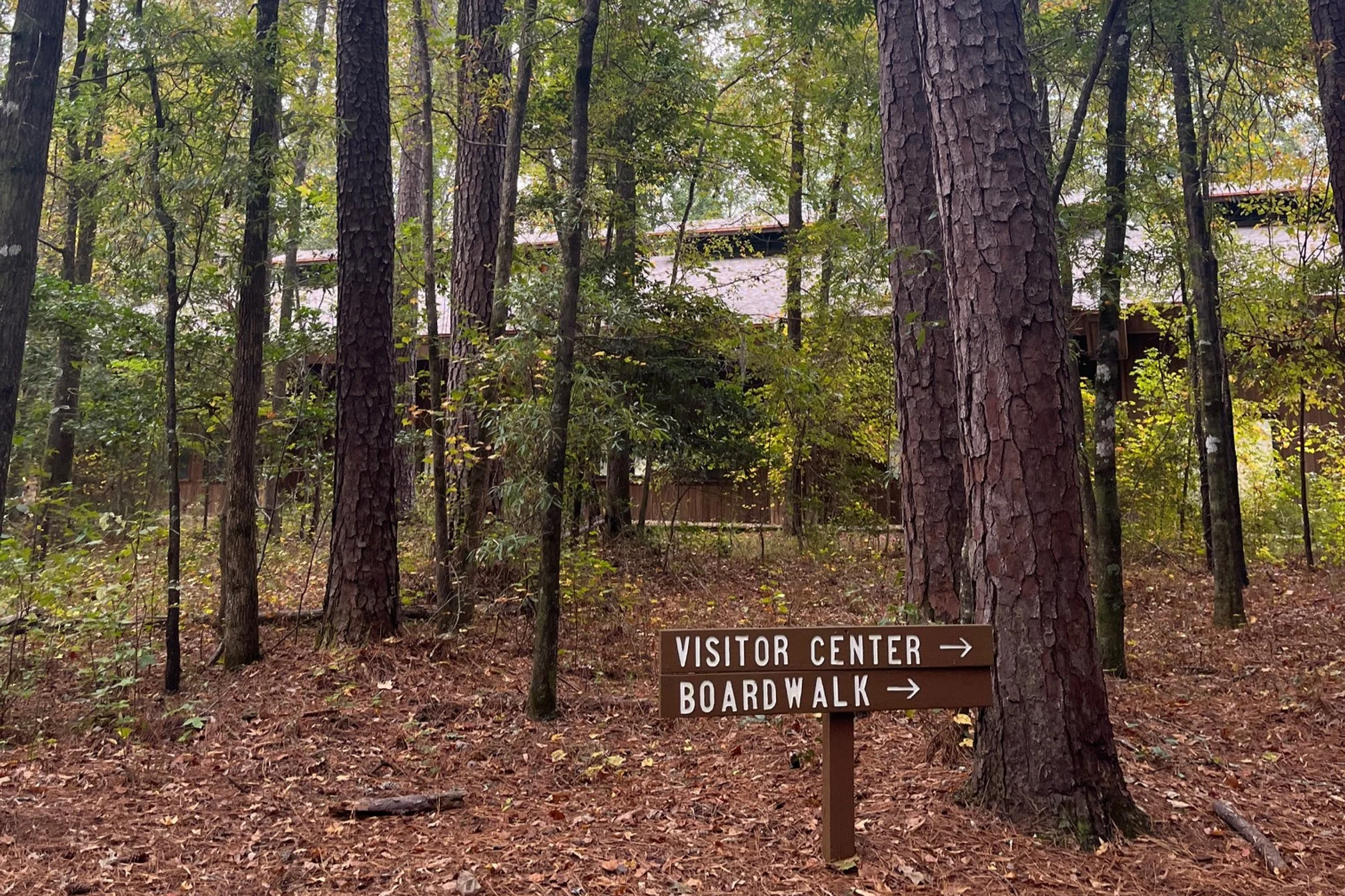 Wooden signs pointing to visitor center and boardwalk trail in front of pine trees and the Congaree Visitors Center