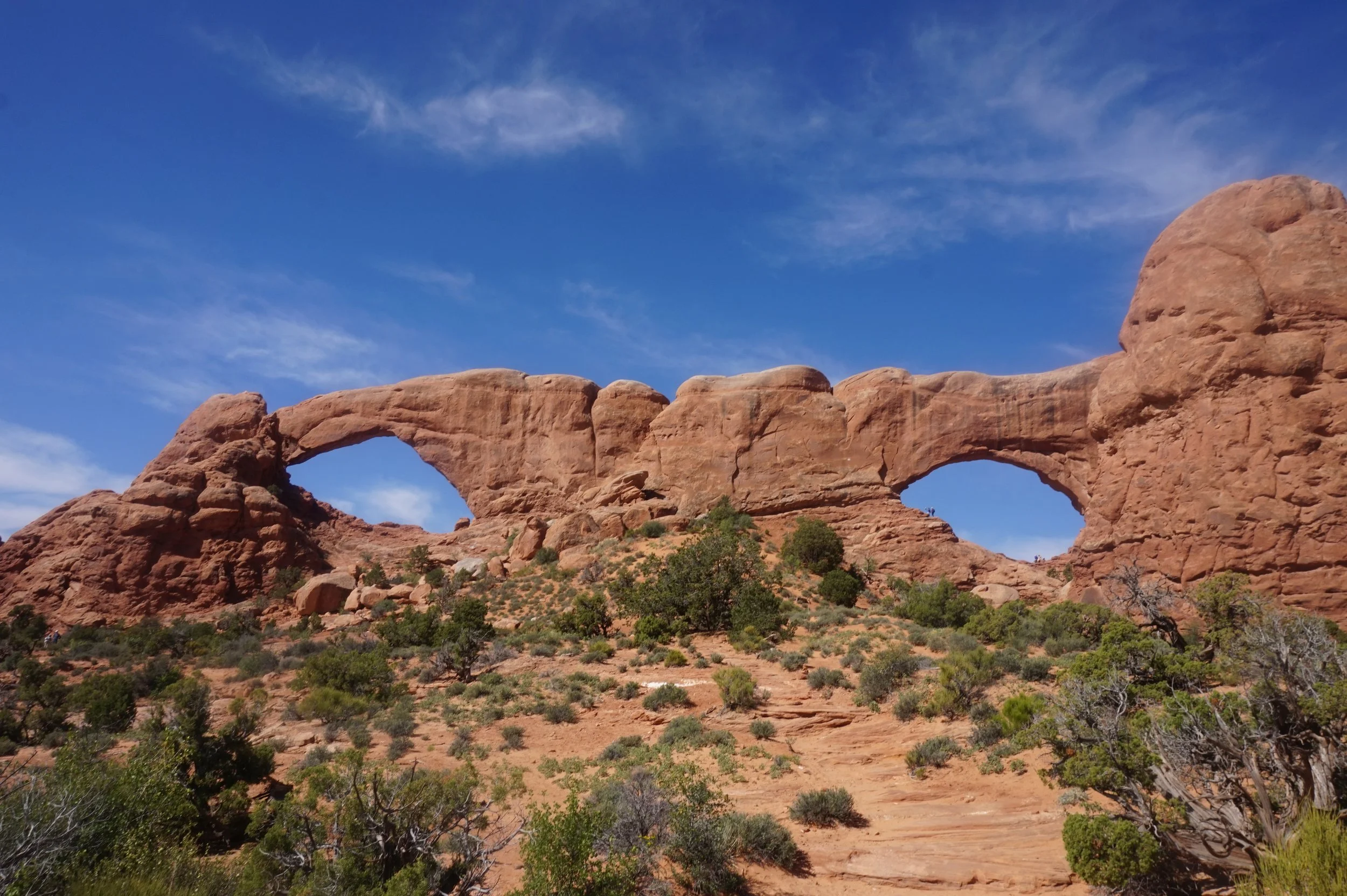 North and South Windows Arches