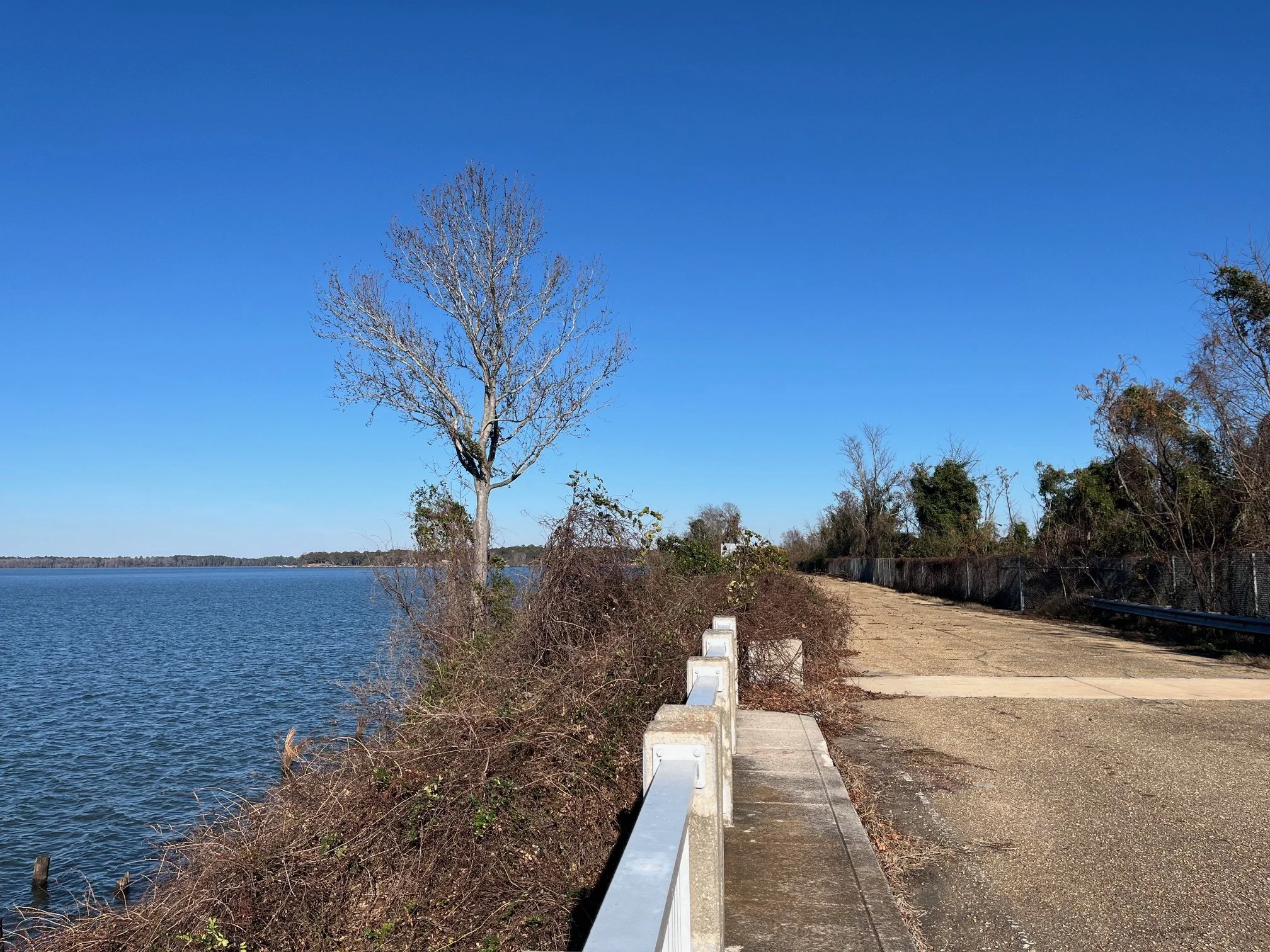 White fencing, shrubby and trees on the sides of the Lake Marion Bridge Trail