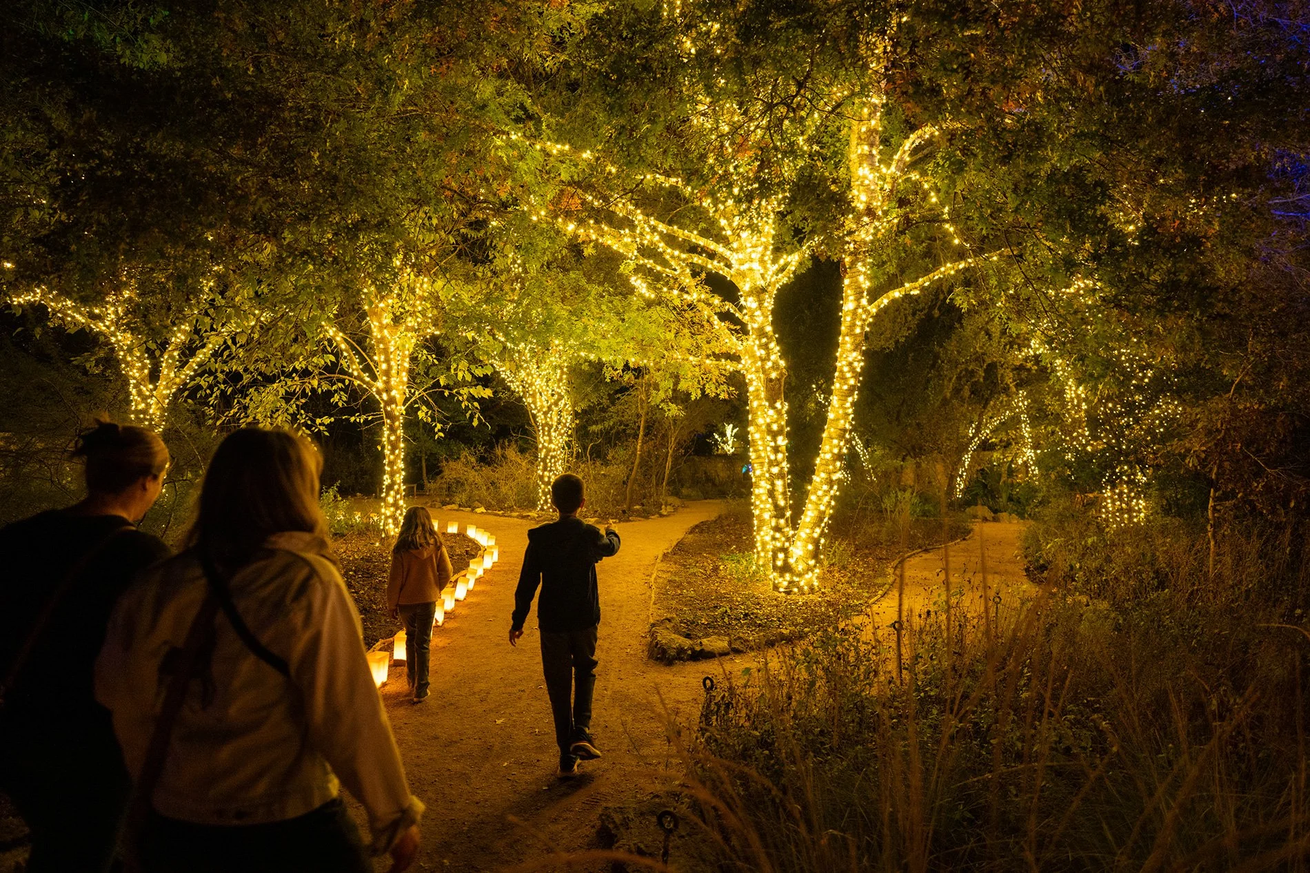 People walking on a lit pathway at night with trees wrapped in string lights.