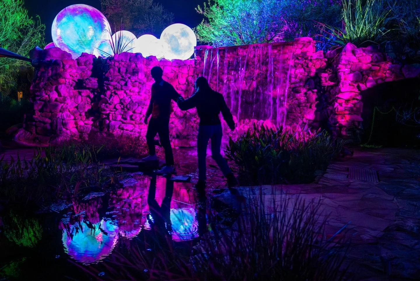 My second year of photographing Luminations for the @wildflowercenter, producing galleries for marketing materials.

#ticomendozastudios #austineventphotographer