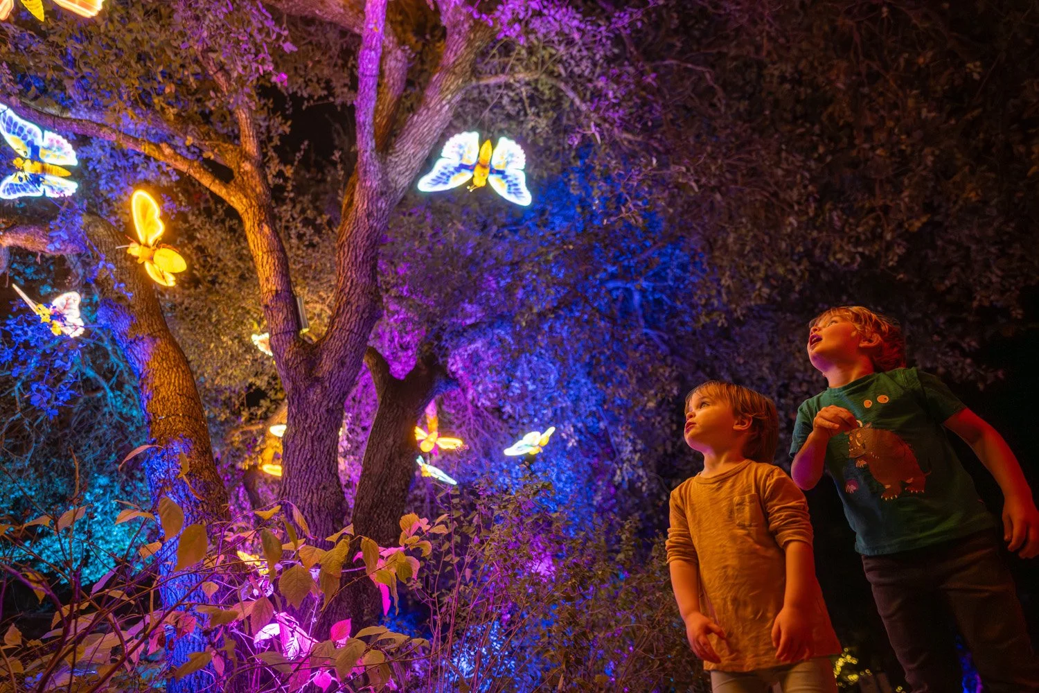Two children looking up at colorful illuminated butterfly lights hanging in trees at night.