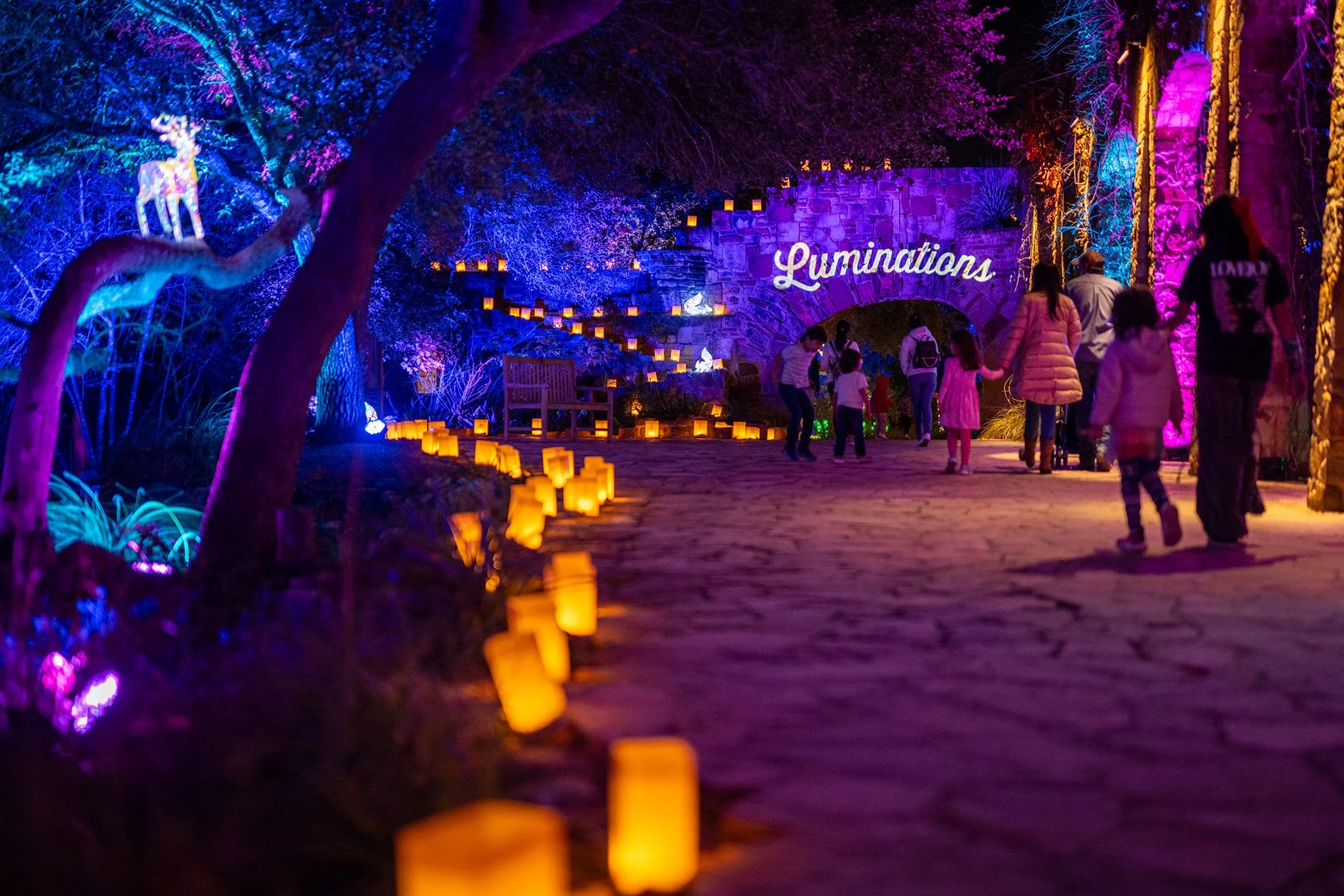 Night scene with colorful illuminated trees, floating lanterns along a stone pathway, and a sign that says 'Luminations.' People are walking and enjoying the light display.