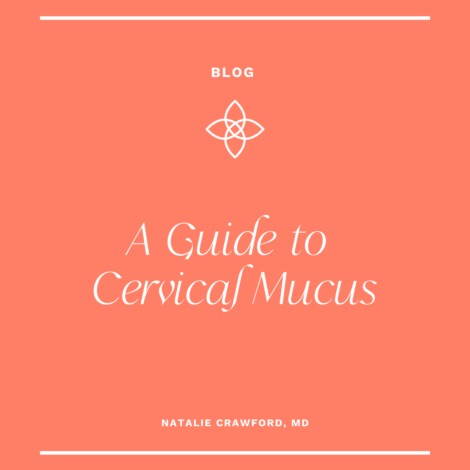 A Guide to Cervical Mucus