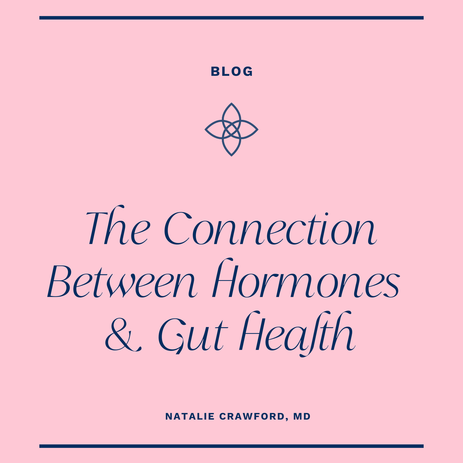 The Connection Between Hormones &amp; Gut Health