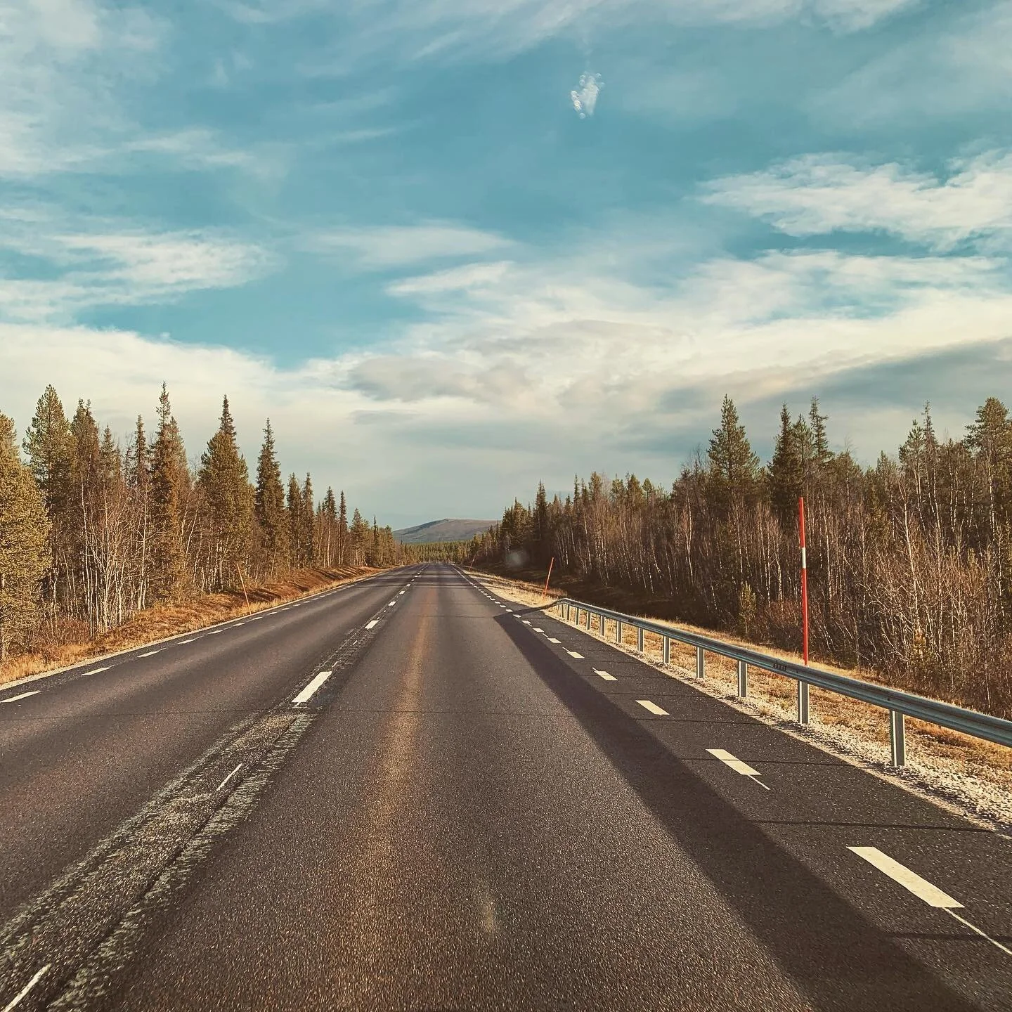 Sweden 🇸🇪 #roadtrip #sweden #musicianlife #laponia