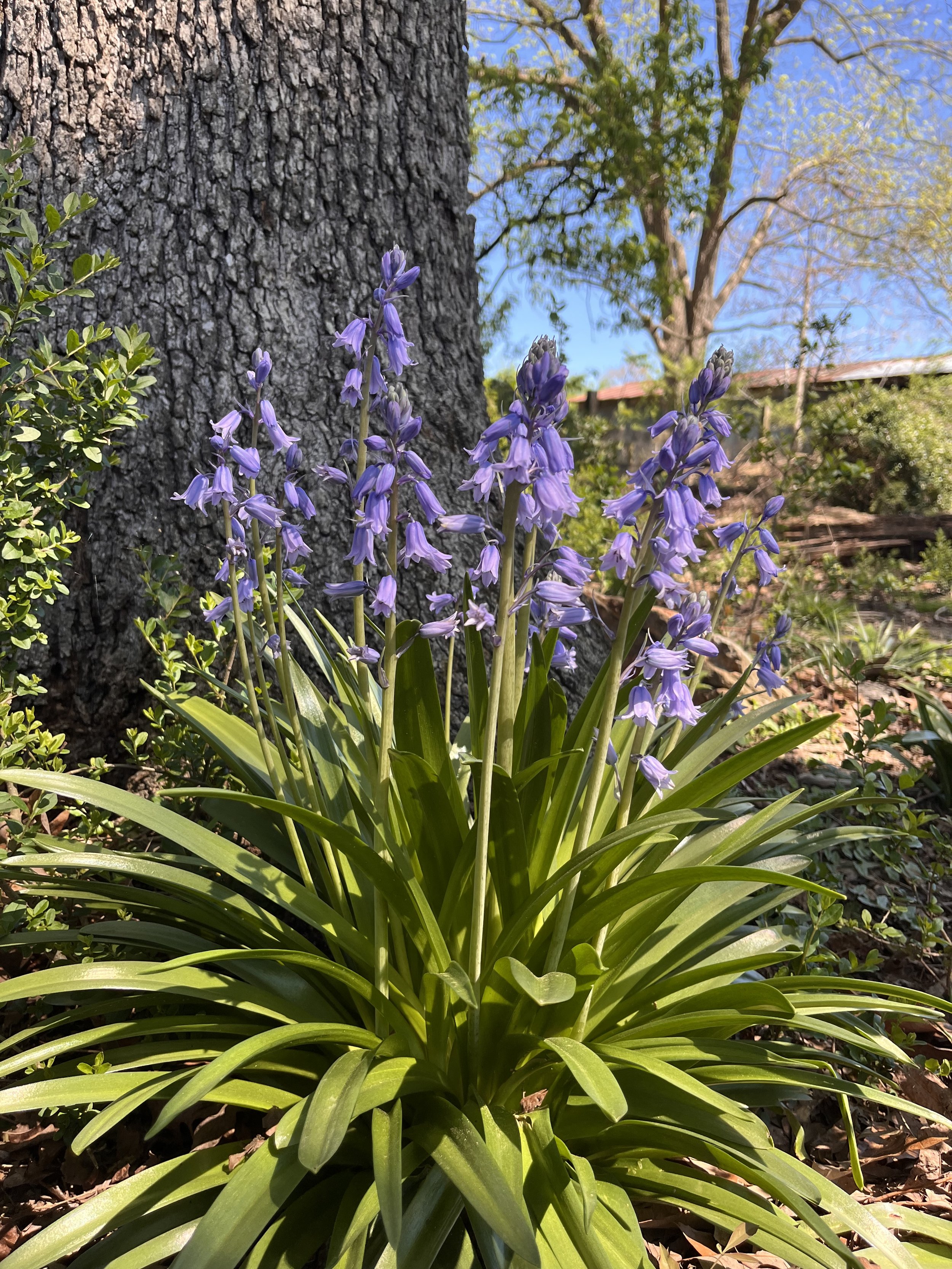 IMG_6960.jpeg