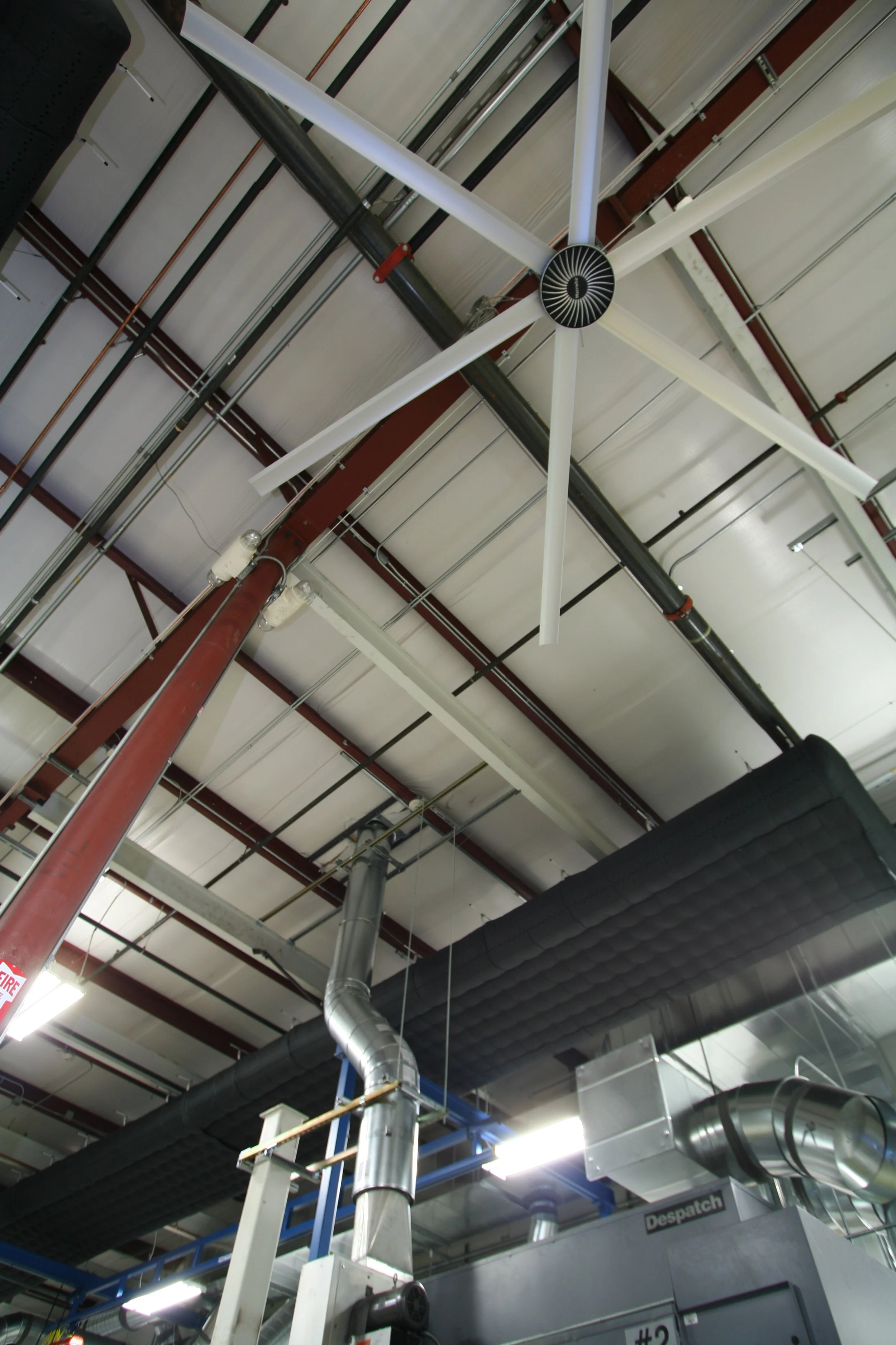 GrafTech-4 IMG_9081.JPG