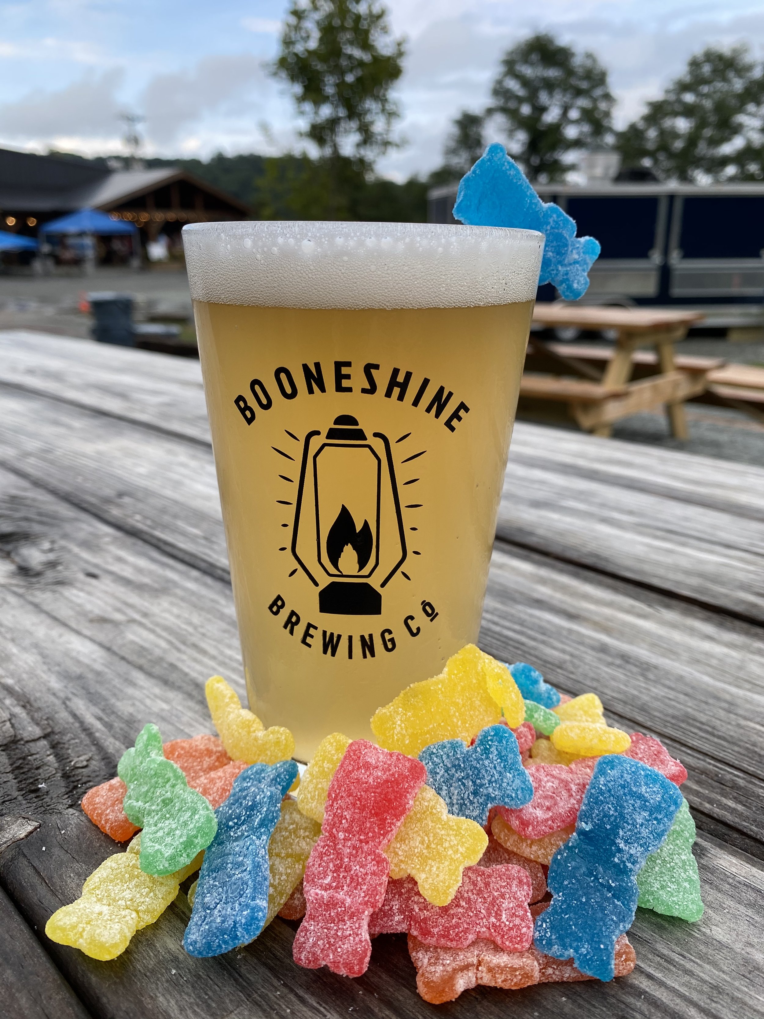 Berry Patch Gose