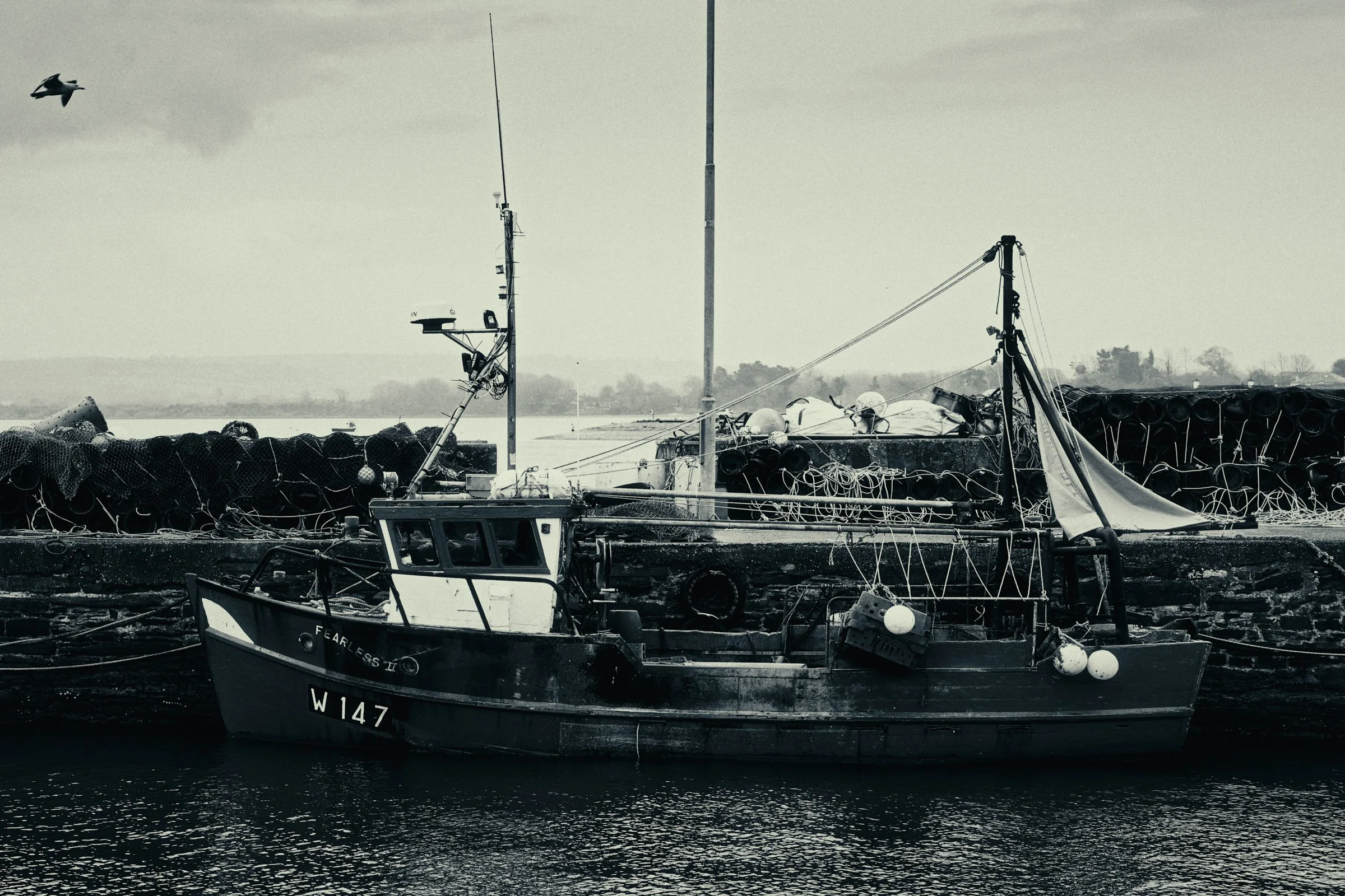 Youghal Ireland 260426 013.jpg