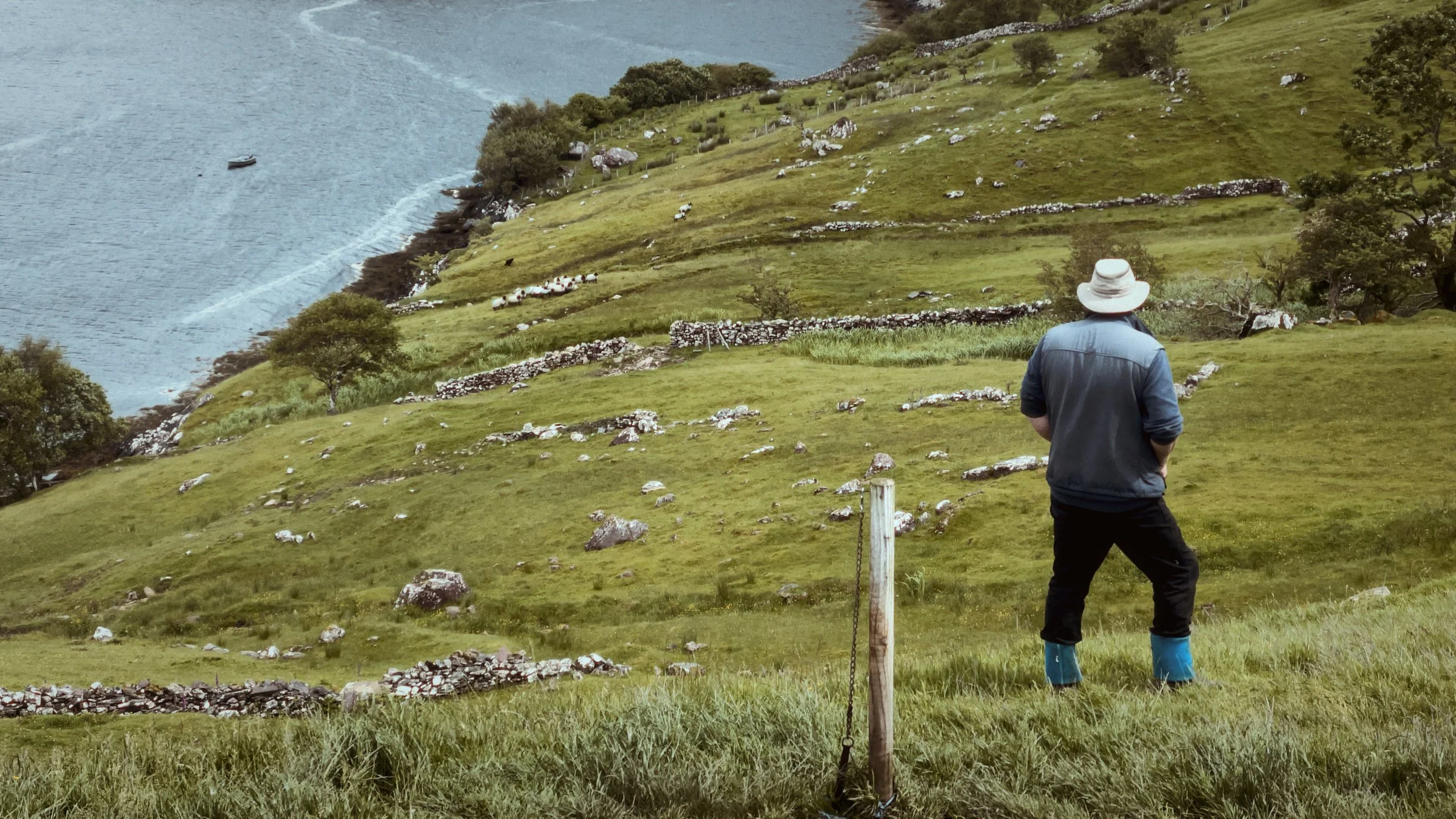 The Sheep Herder, Killary Sheep Farm, Leenane, Co. Galway, Ireland 2026 by Dave Haworth