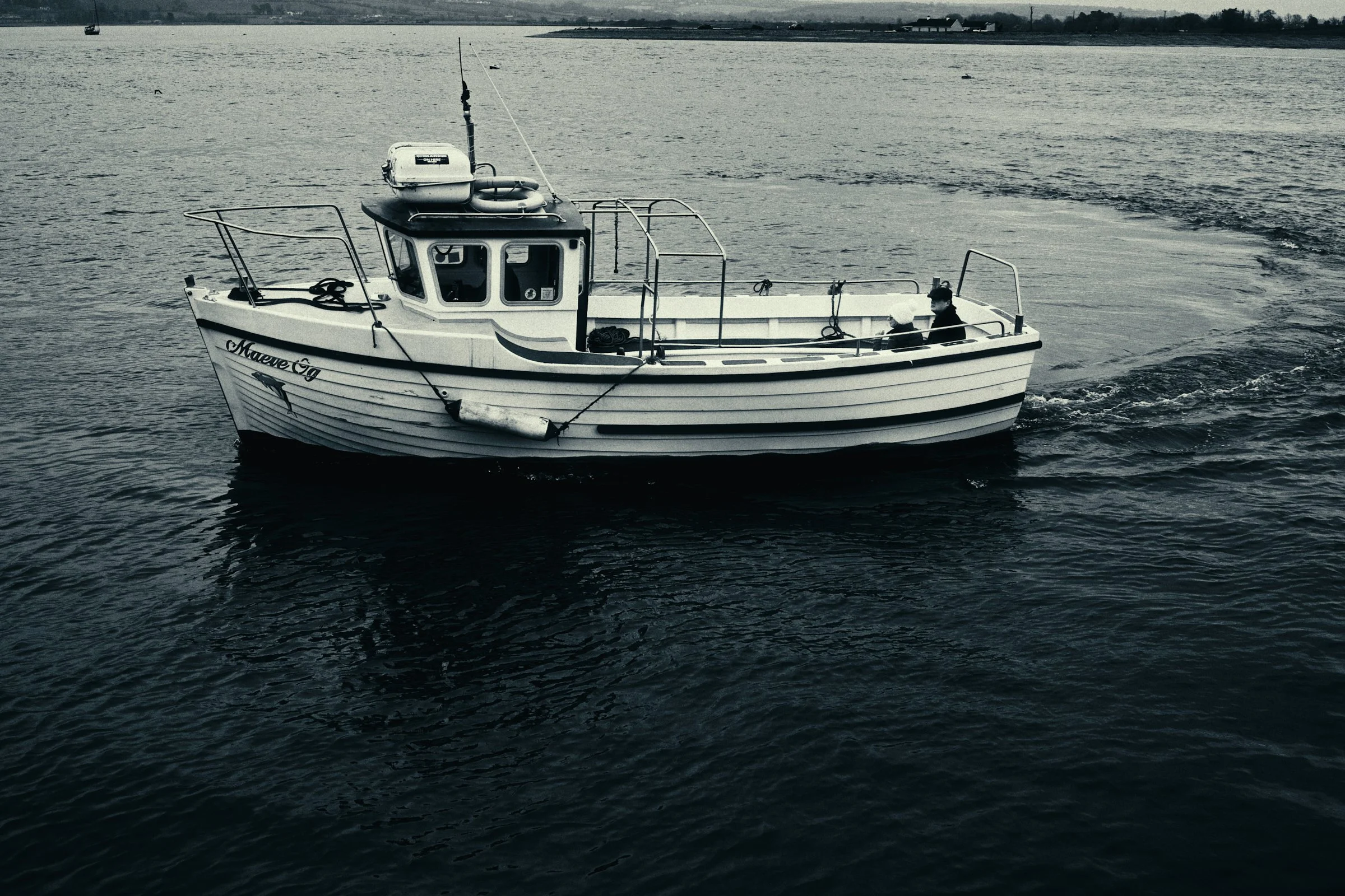 Youghal Ireland 260426 019.jpg