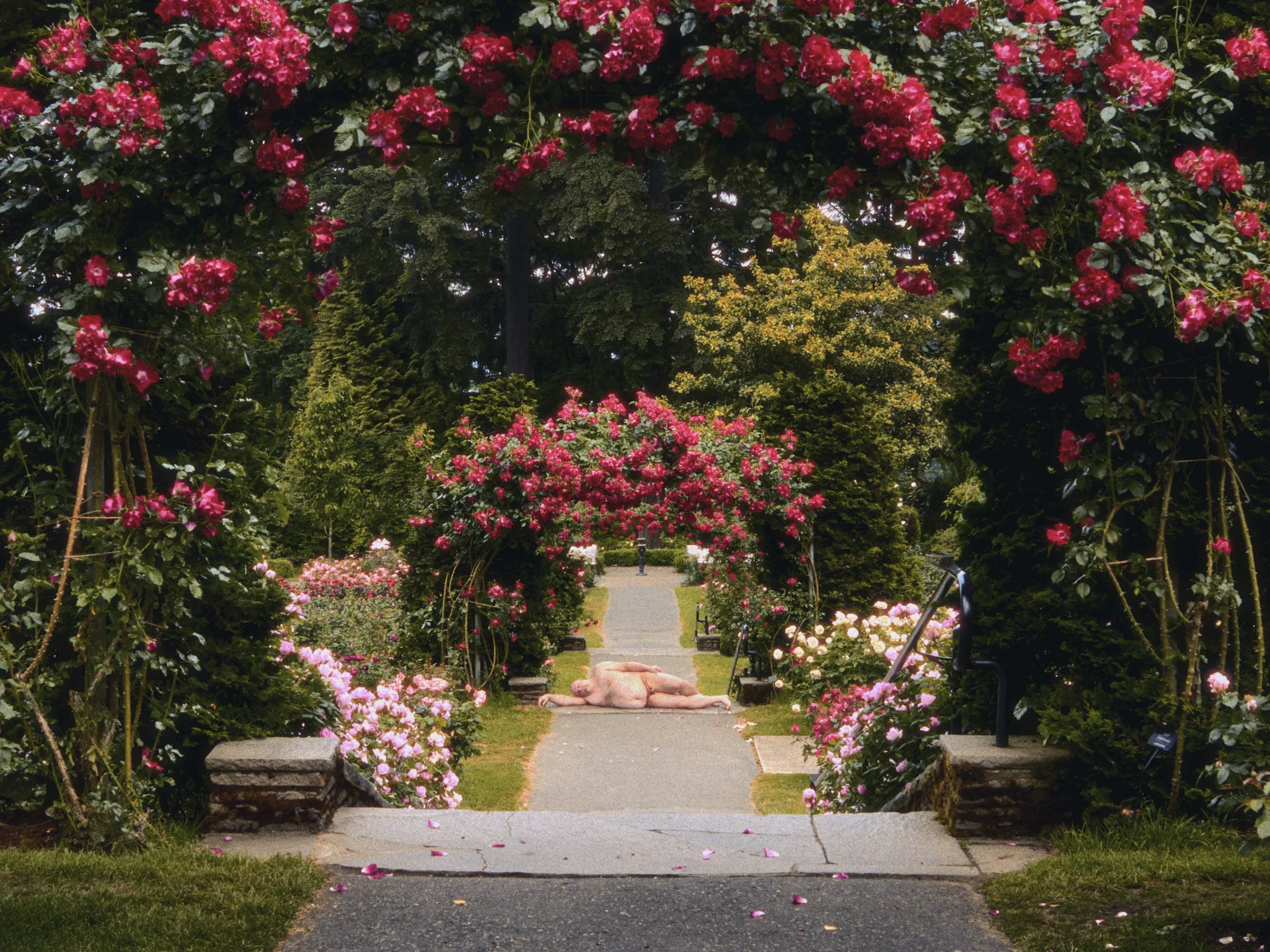 Bridgetown Nudes, Bartemus, International Rose Test Garden, Portland, Oregon, USA 2014