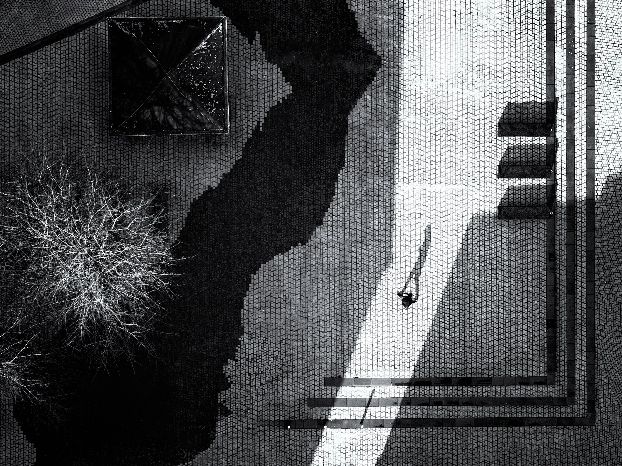 Bird On Target, Waterford, Ireland 2024