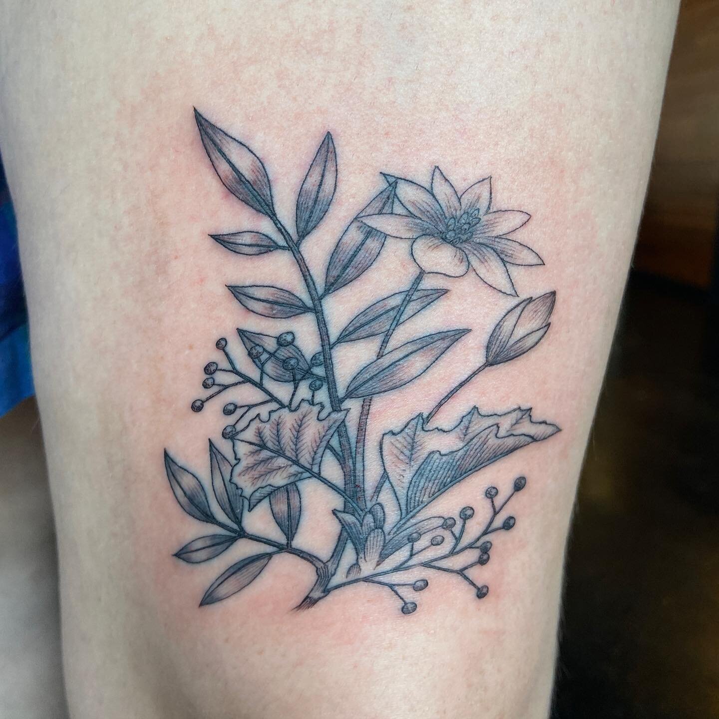 First tattoo for Bridget! Welcome to the cool kids club!  Freehand poison sumac and blood something or other, i forget. Dm me to book anytime @serotattoocollective