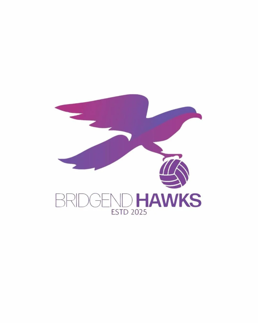 Bridgend Hawks: Built on Netball, Family and Community
