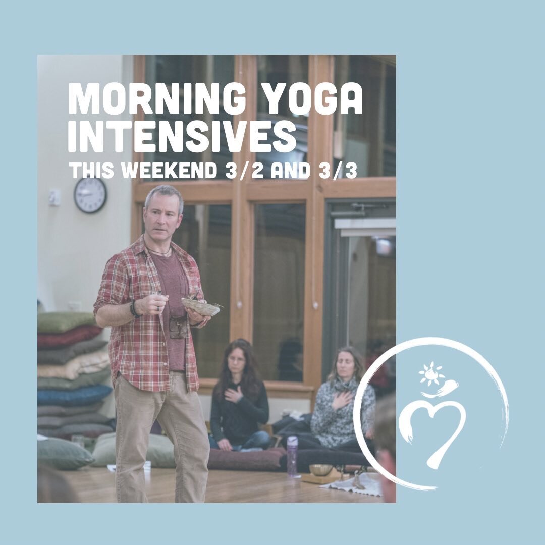The beauty is 
that people 
often come here 
for the stretch, 
and leave 
with a lot more. 
Liza Ciano

Curious about exploring more than just the stretch.
Go a layer deeper with the Lighting the Path Morning Yoga and Meditation Intensives. Explore a