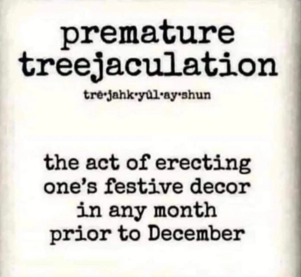 I have to admit&hellip; I feel pretty strongly about waiting until after Thanksgiving to put up Christmas decorations.

Let&rsquo;s give gratitude its full moment before we dive into peppermint chaos and twinkle-light euphoria. 🦃✨

Presence before p
