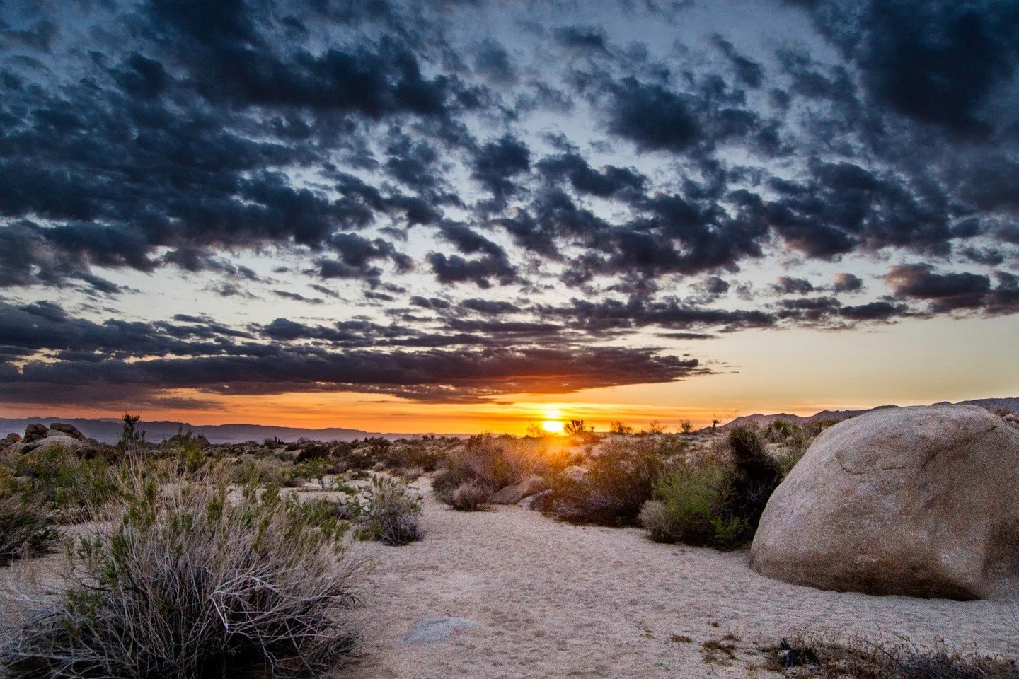 🌵 Joshua Tree Yoga &amp; Hiking Retreat &mdash; May 13&ndash;17, 2026

Sometimes, the soul just needs space.
Space to breathe.
To move.
To remember what stillness feels like.

This May, join me for five unforgettable days of yoga, hiking, and deep r