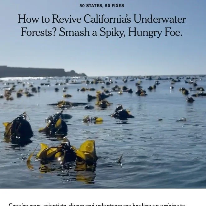 Proud Moment for Blue Harmony &amp; The Caspar Cove Project 

An article in the New York Times came out a little while back, &amp; I&rsquo;ve been wanting to share it with all of you - my yoga community, friends, family - because I&rsquo;m incredibly