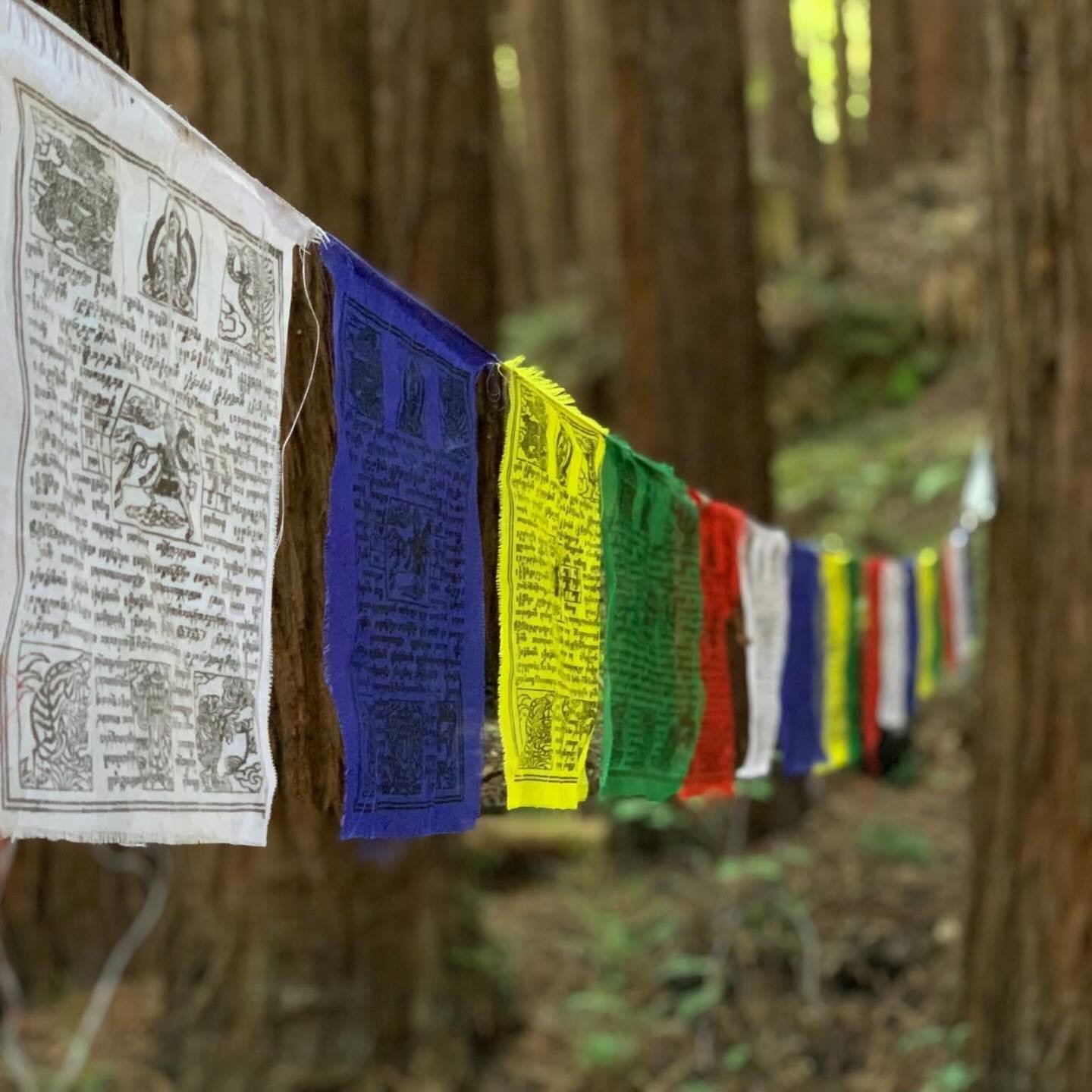 The new year is on the horizon, and what better way to start 2026 than by embracing a transformative journey of self-care, clarity, and renewal?

 I am excited to invite you to join us at the New Year Yoga Retreat from 12/29 &ndash; 1/1/2026 at the s